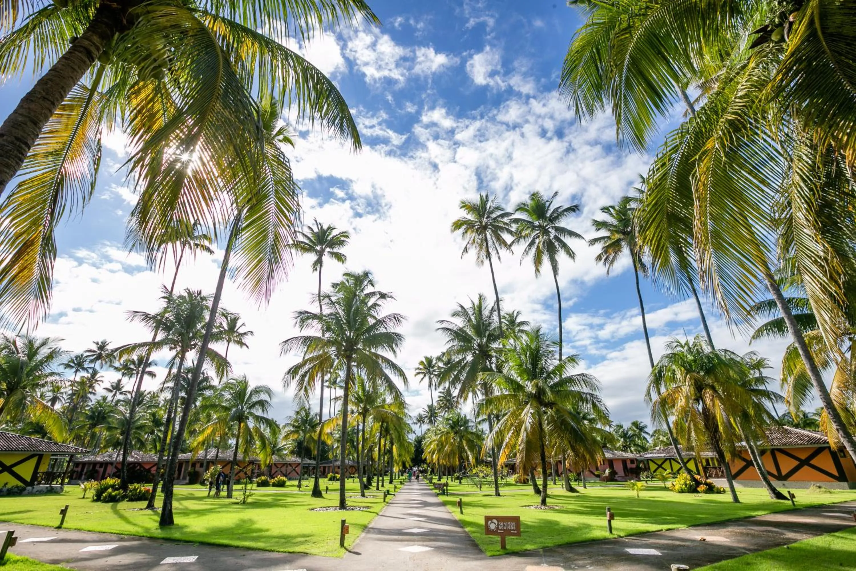 Garden in Patachocas