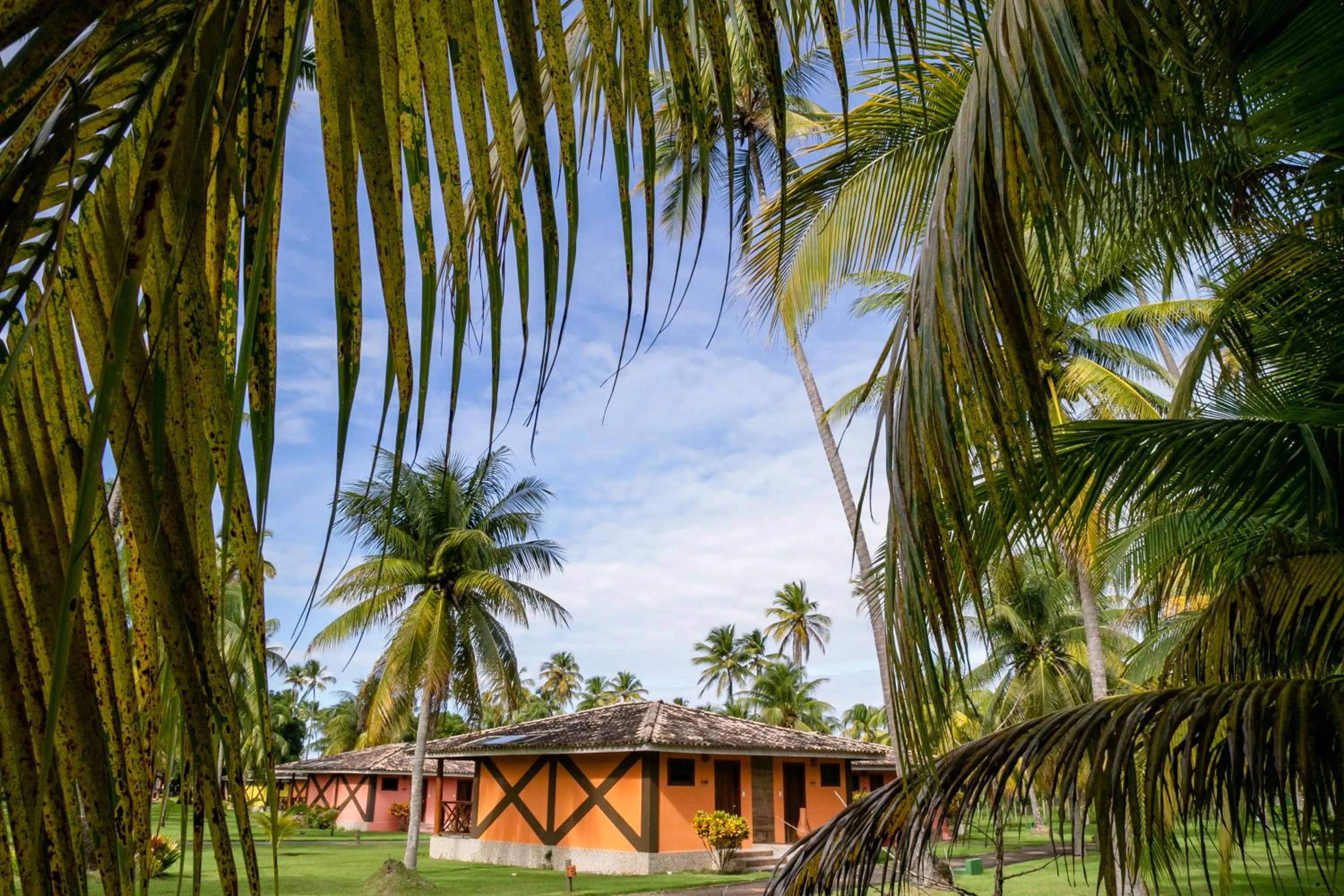 Street view in Patachocas