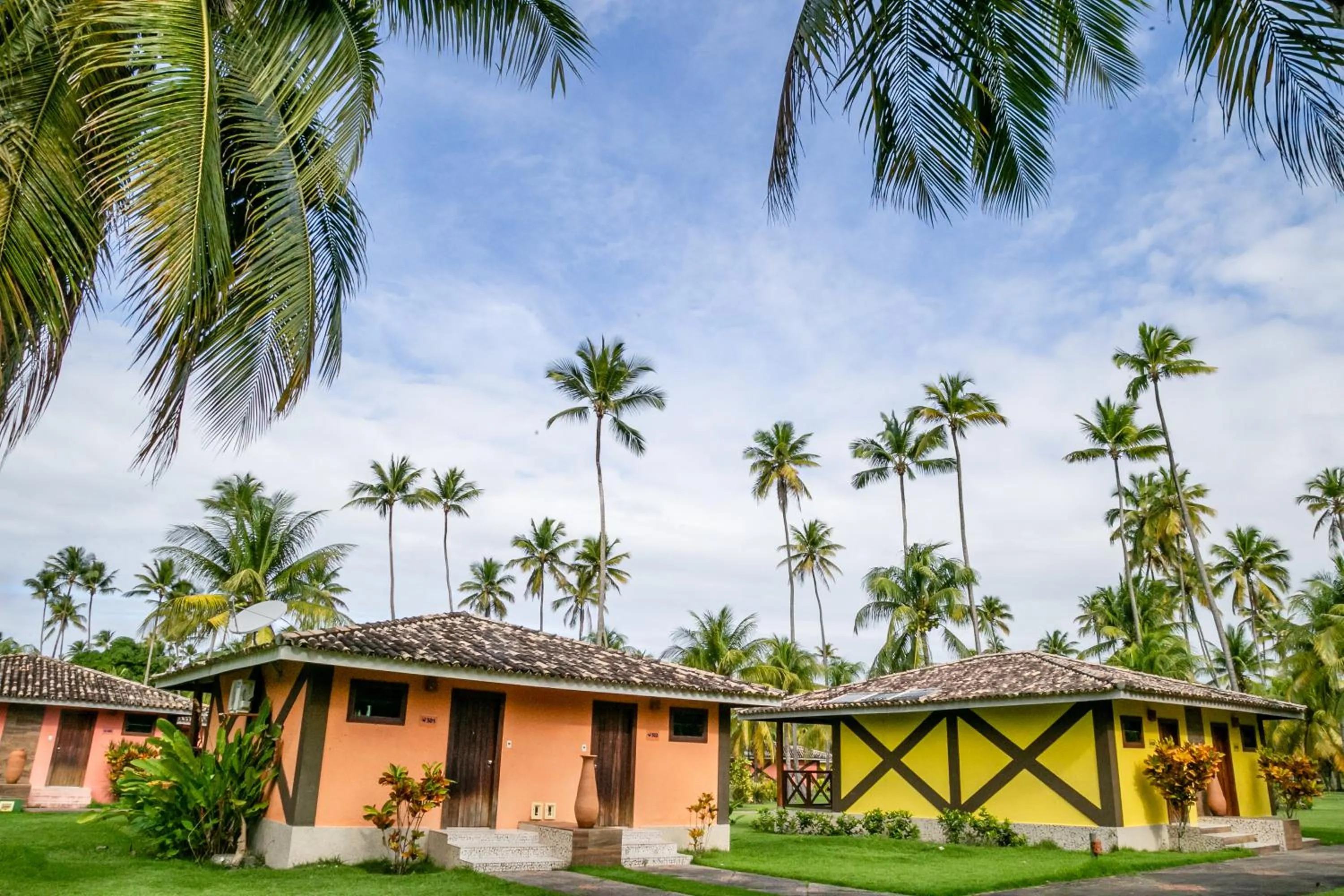 Photo of the whole room in Patachocas