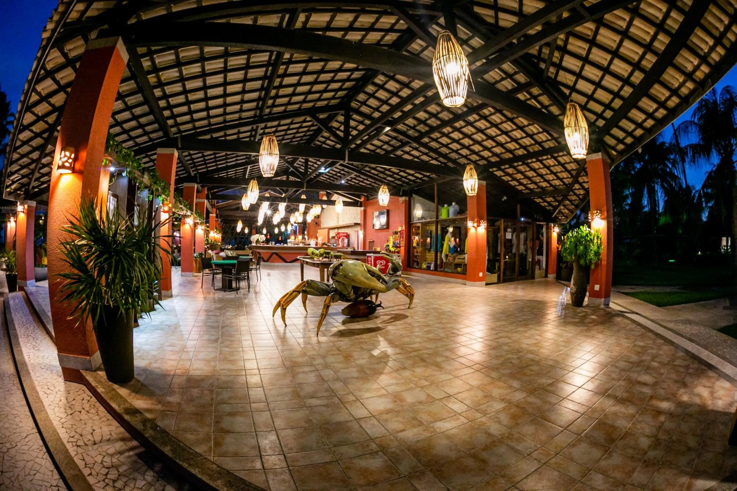 Area and facilities in Patachocas