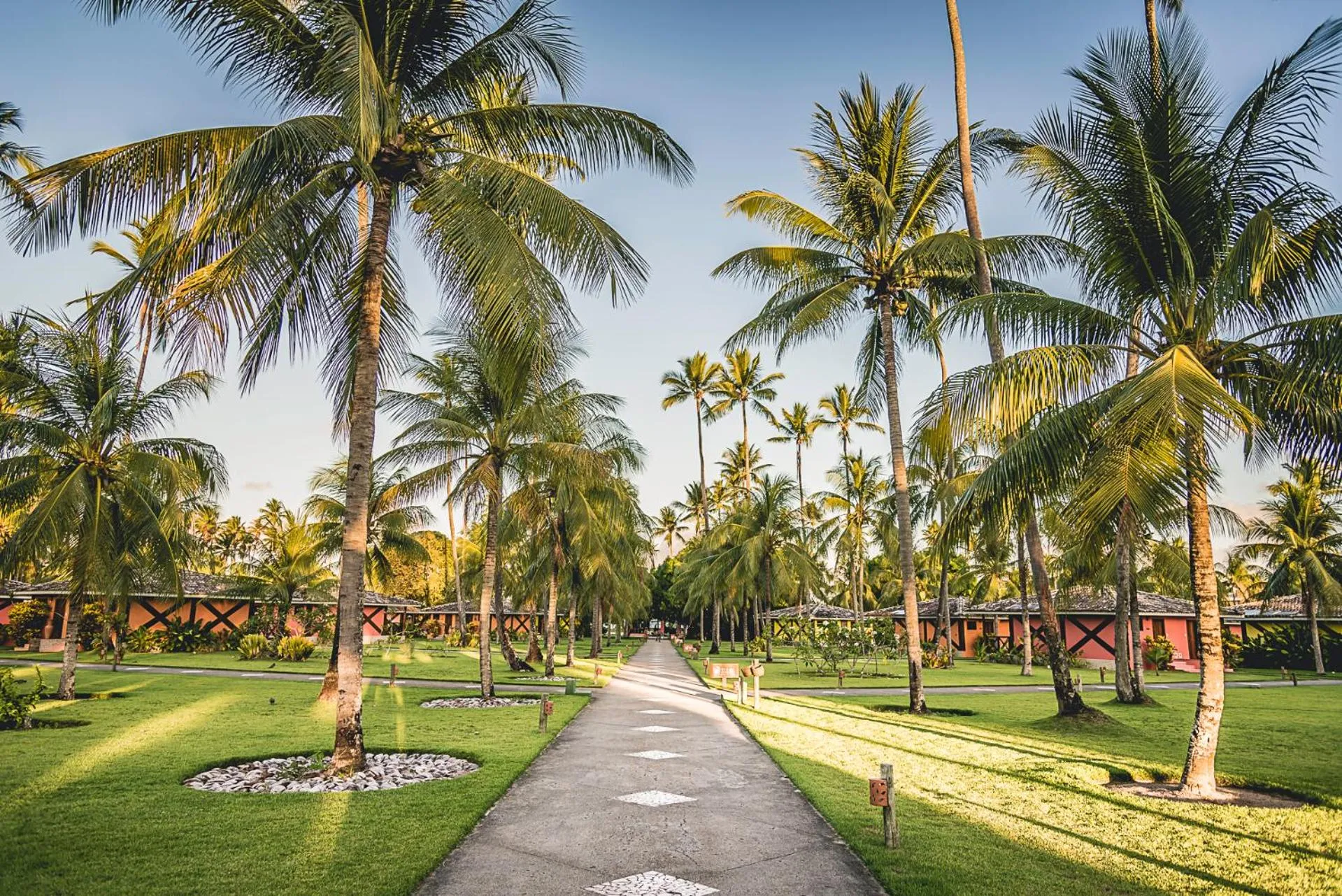 Garden view in Patachocas