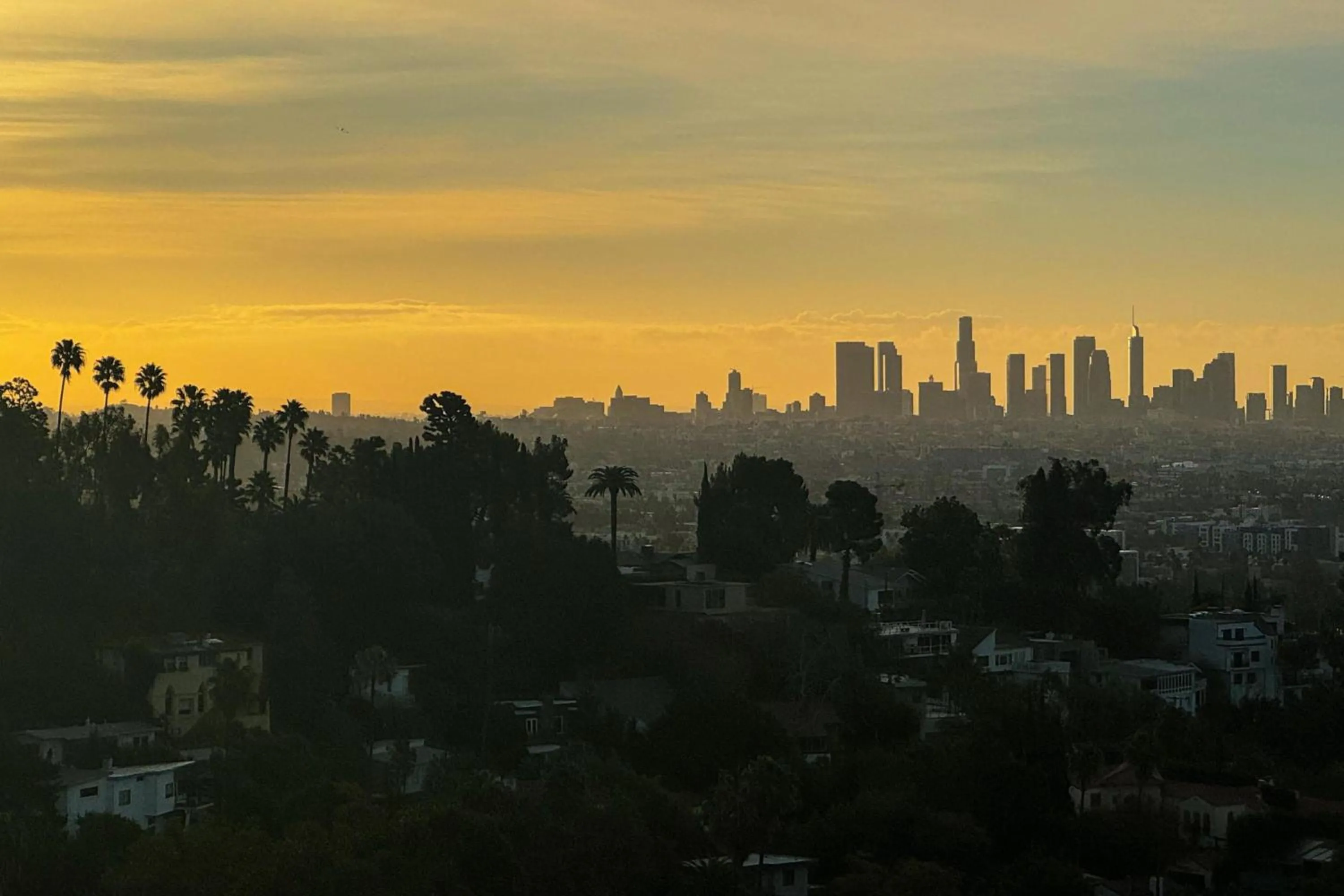 View (from property/room) in W Hollywood