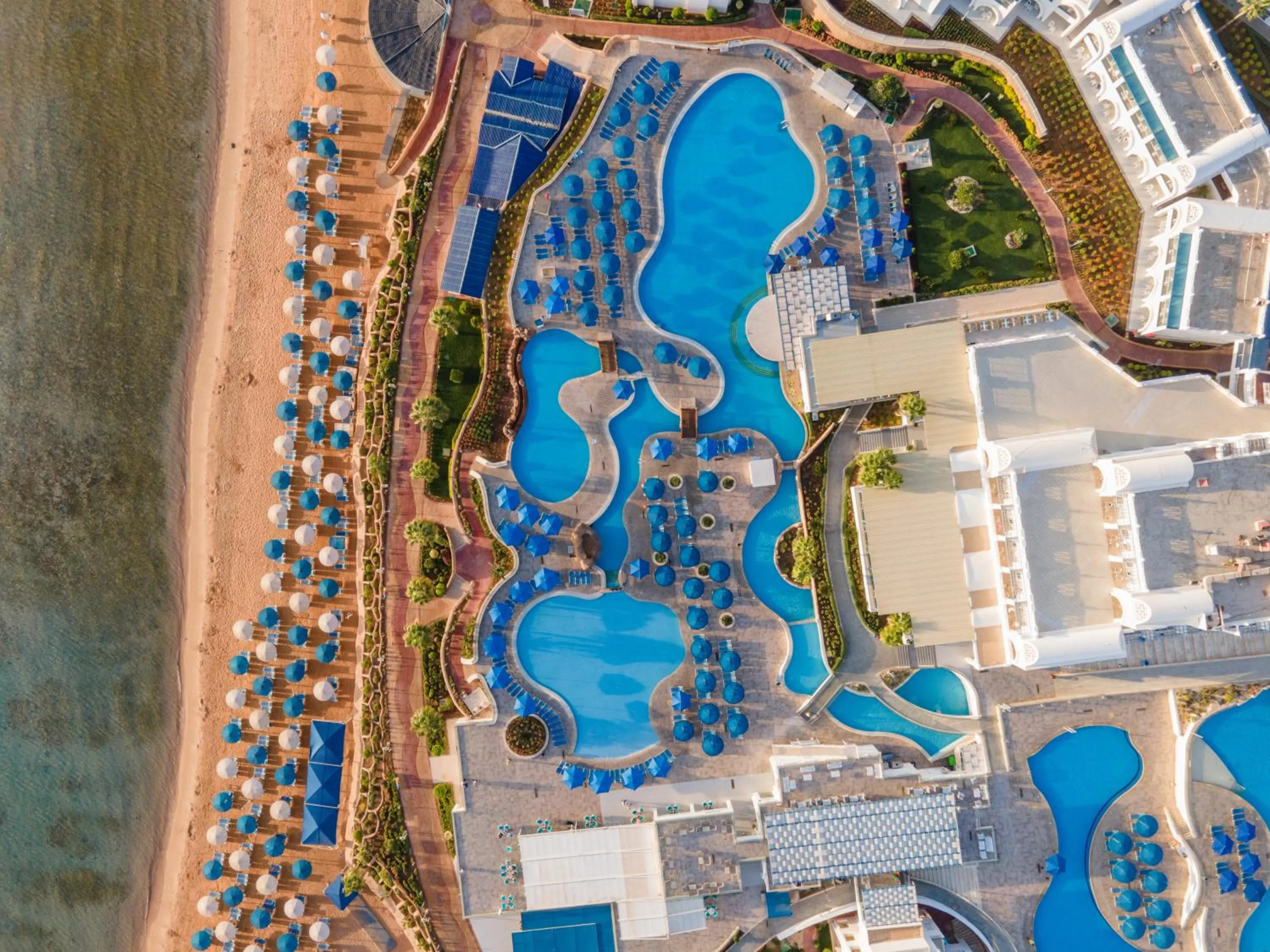 Bird's eye view in Pickalbatros Palace Sharm "Aqua Park"- All inclusive