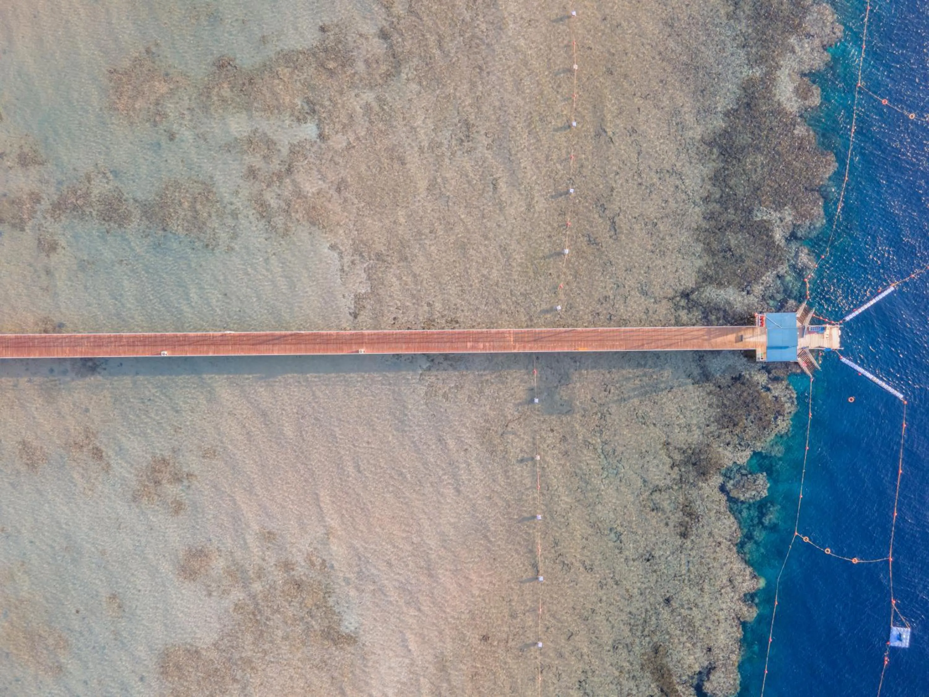 Bird's eye view in Pickalbatros Palace Sharm "Aqua Park"- All inclusive