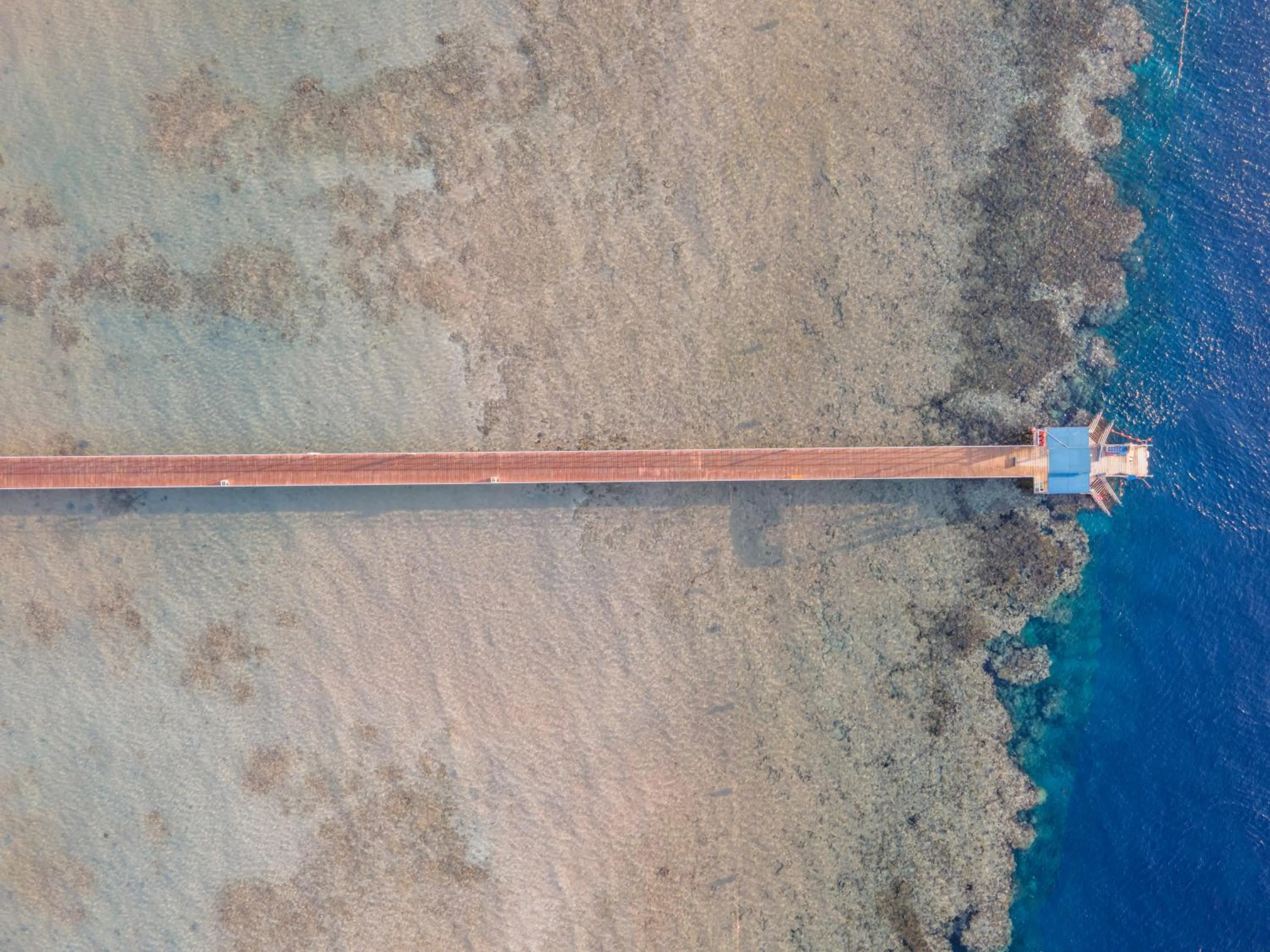 Bird's eye view in Pickalbatros Palace Sharm "Aqua Park"- All inclusive