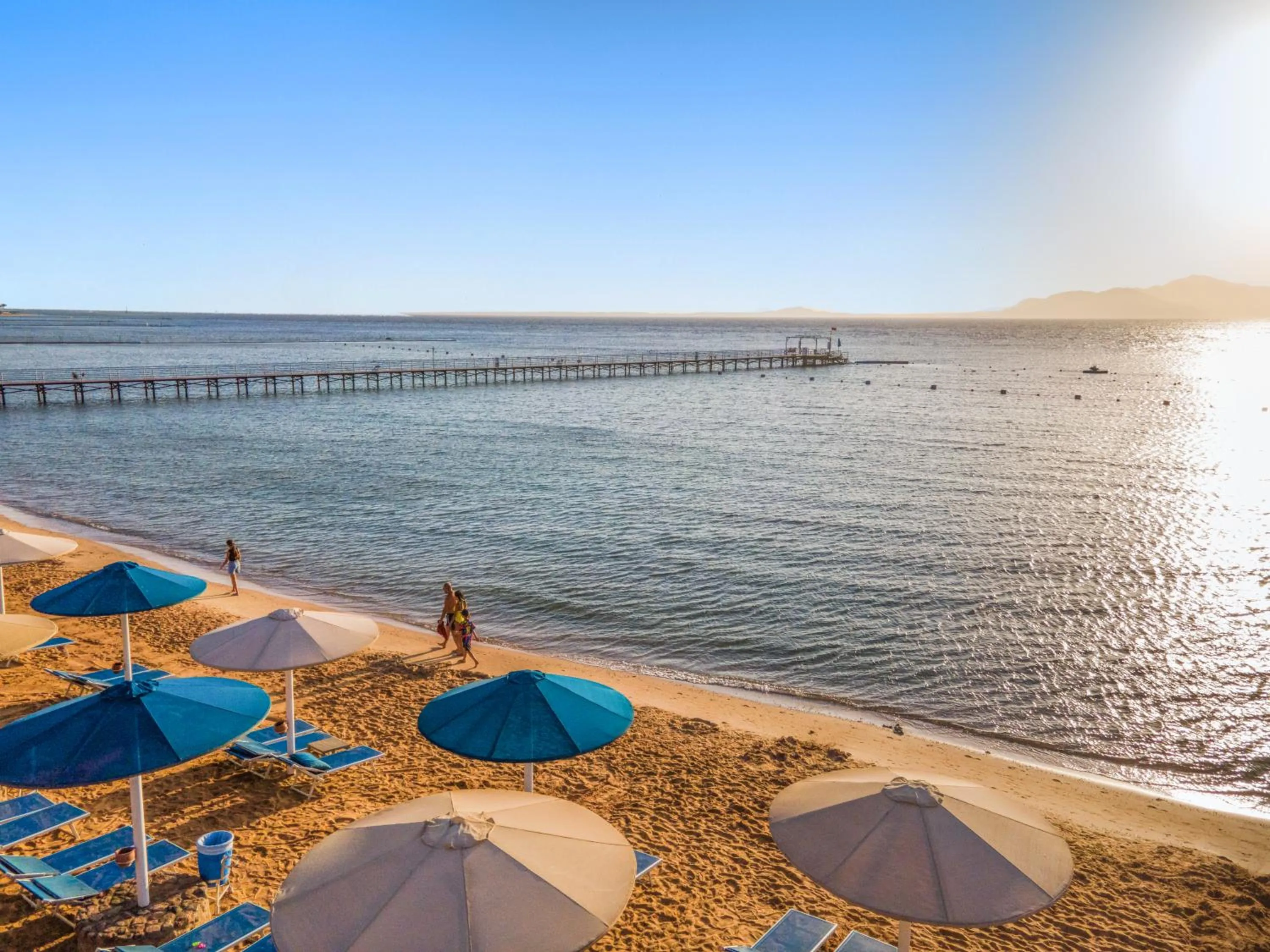 Beach in Pickalbatros Palace Sharm "Aqua Park"- All inclusive