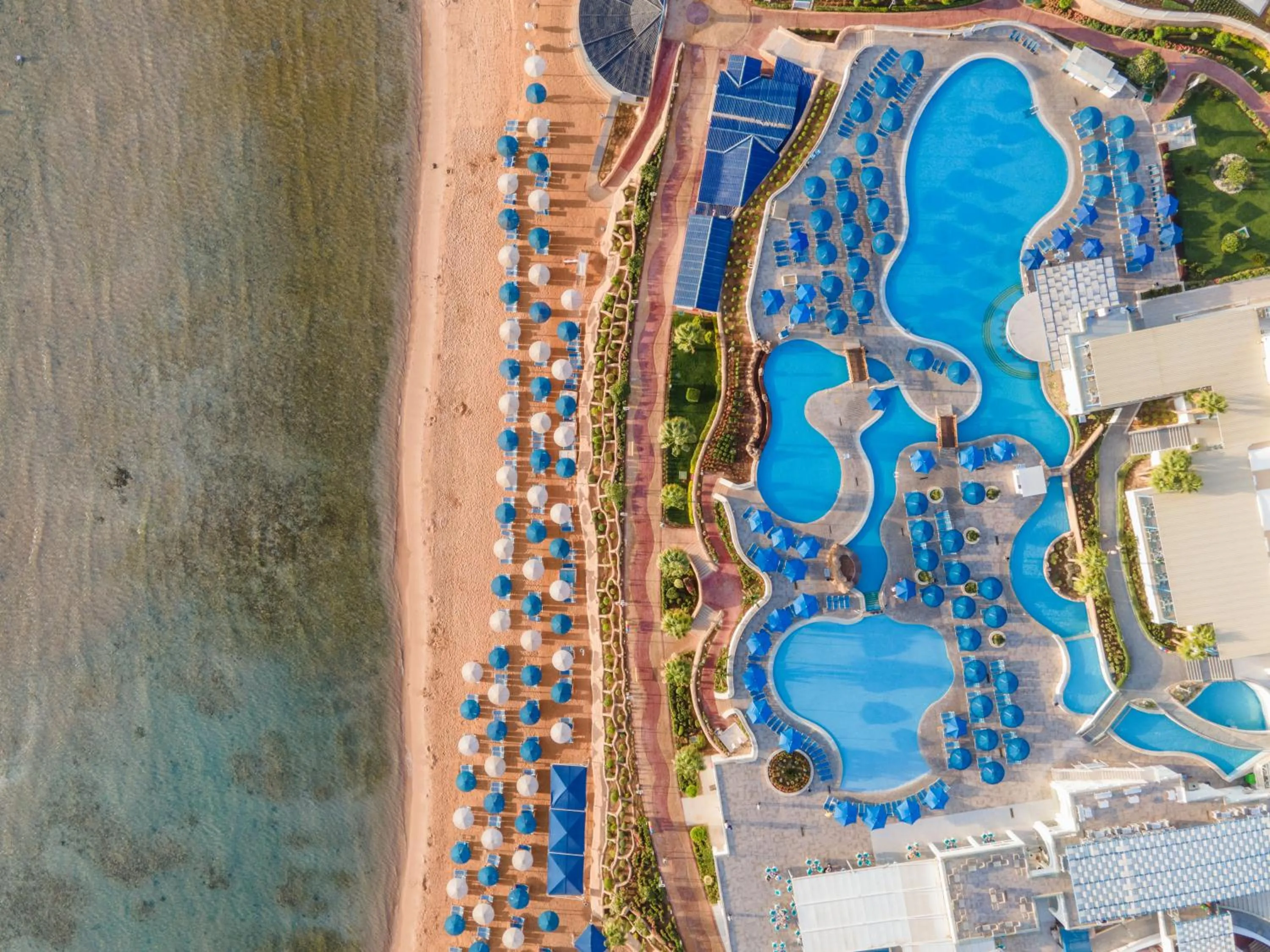 Bird's eye view in Pickalbatros Palace Sharm "Aqua Park"- All inclusive