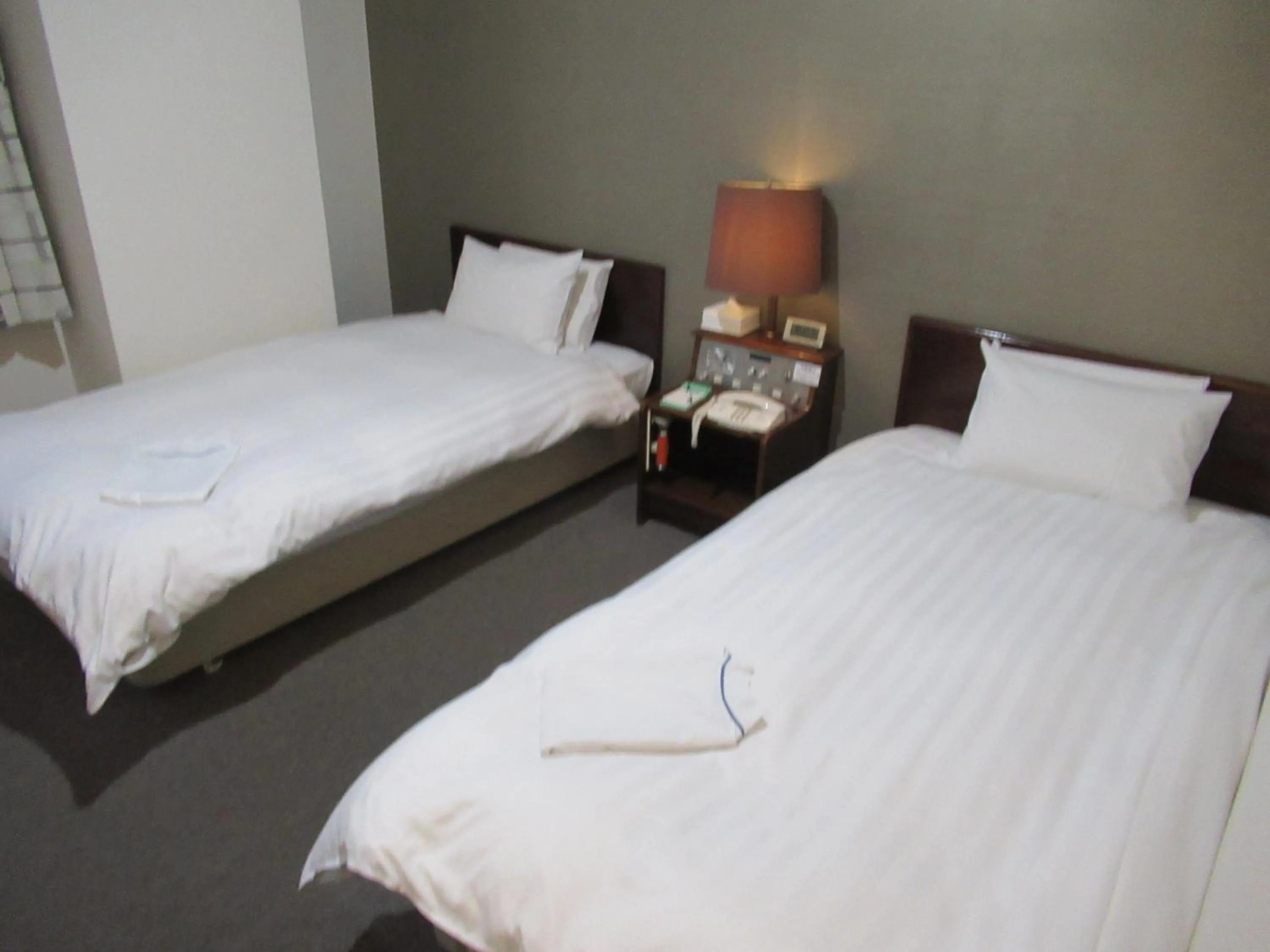Photo of the whole room, Bed in Hotel Tomakomai Green Hills