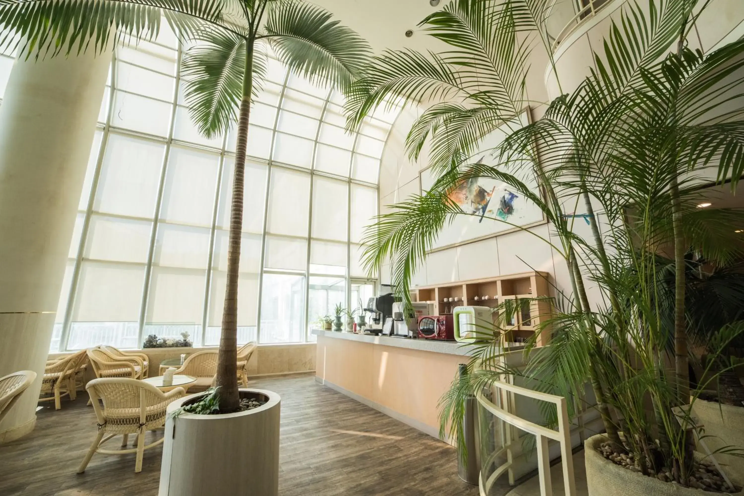 Lounge or bar in Bloom Hotel Lounge or bar in Bloom Hotel