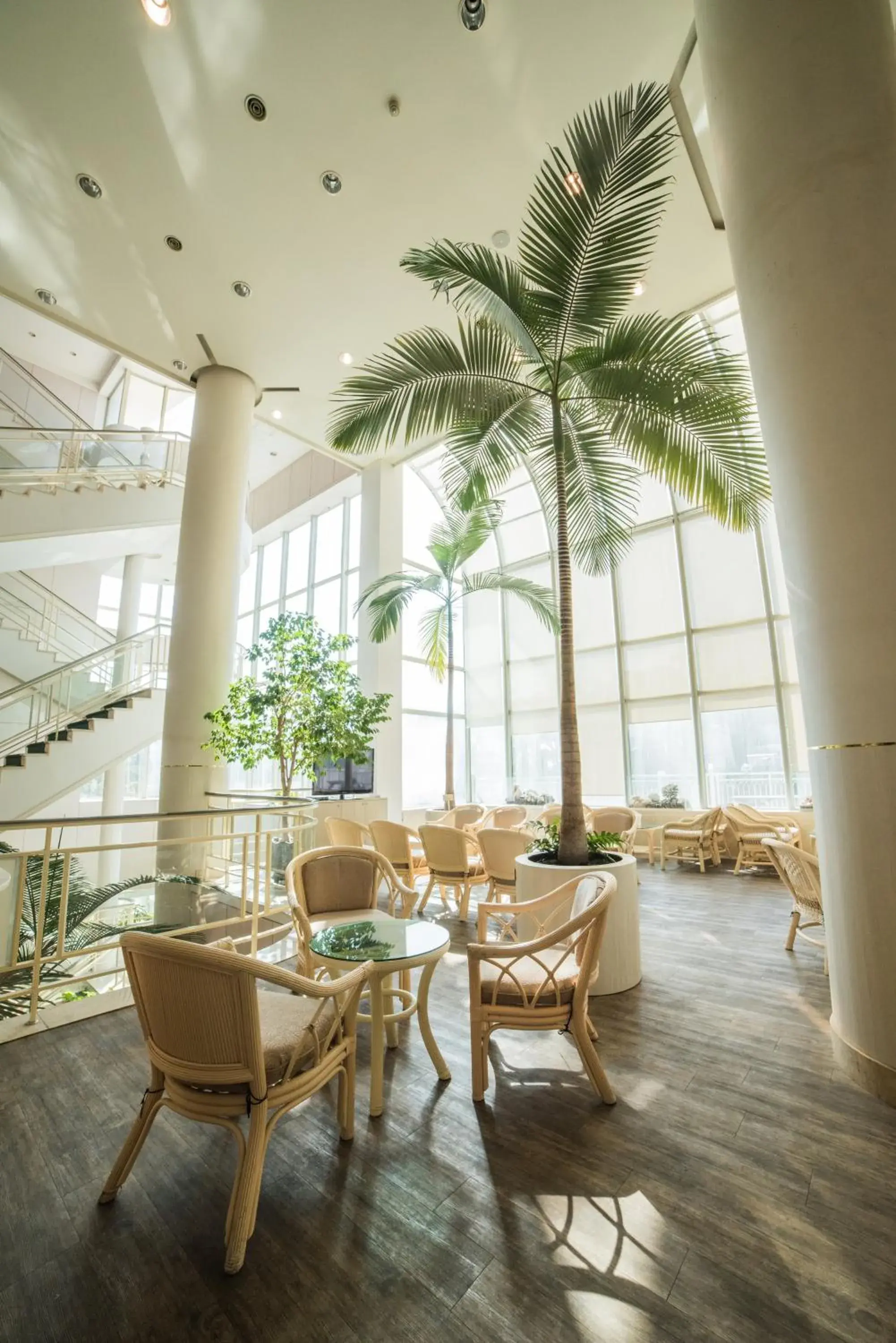 Lounge or bar in Bloom Hotel Lounge or bar in Bloom Hotel