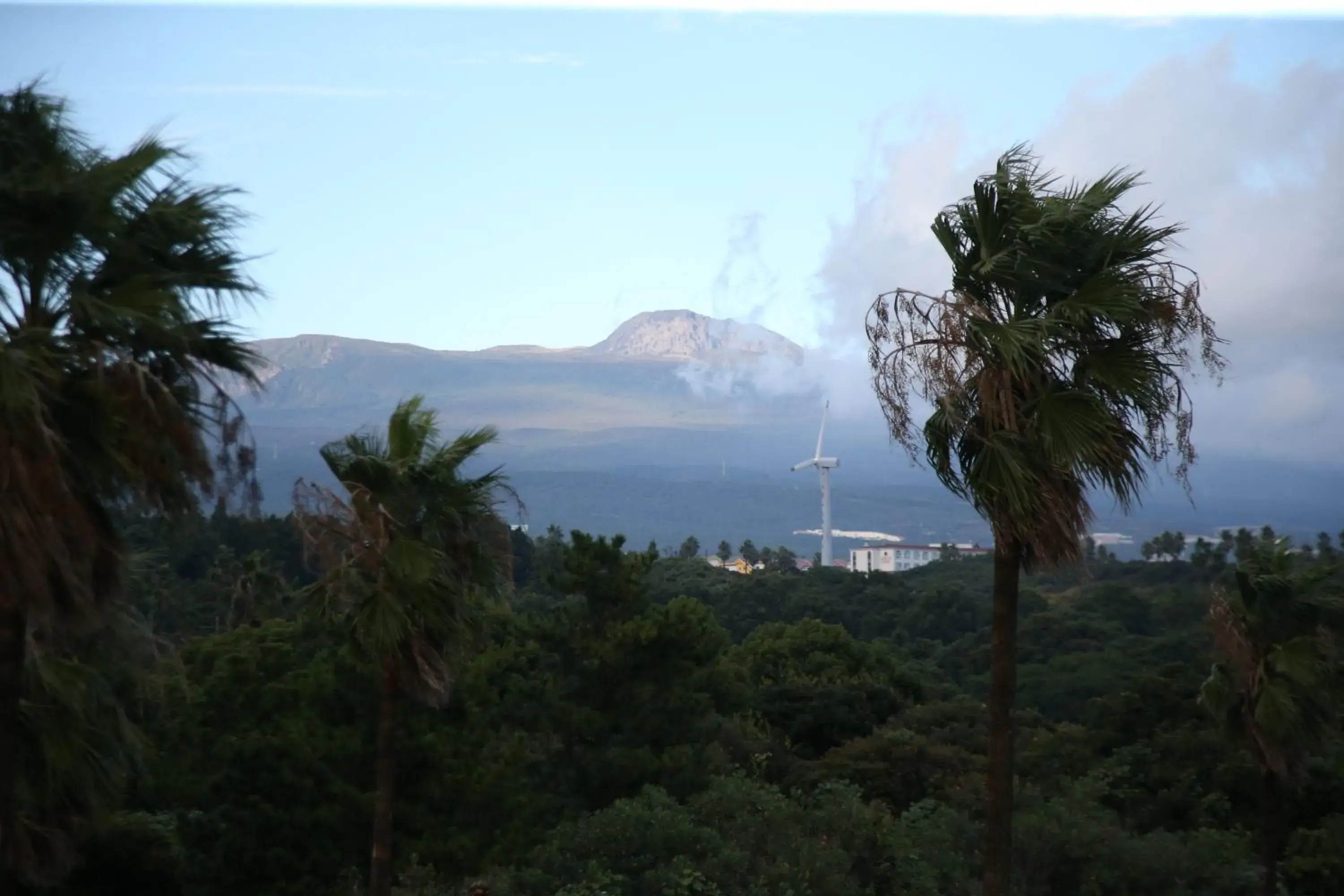 Mountain view in Bloom Hotel Mountain view in Bloom Hotel