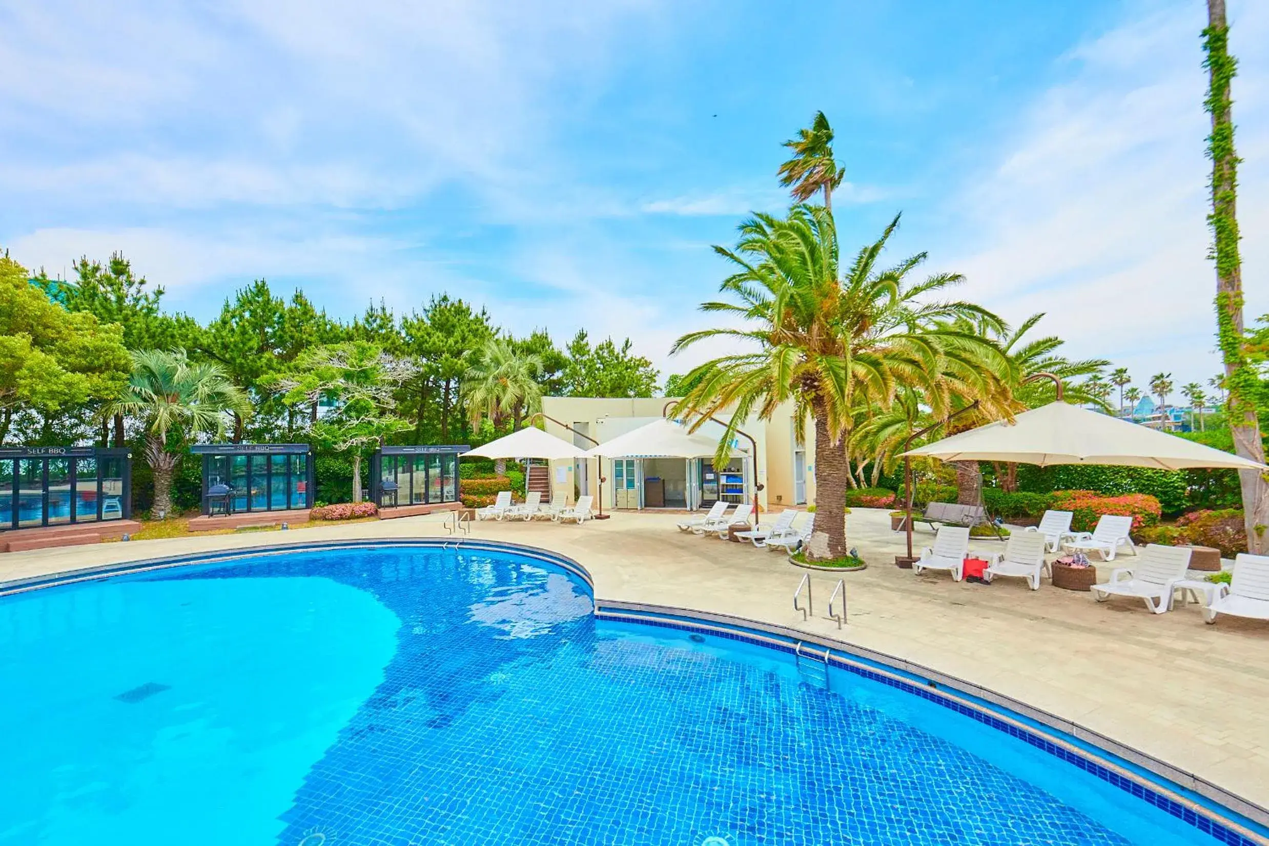 Swimming pool in Bloom Hotel Swimming pool in Bloom Hotel