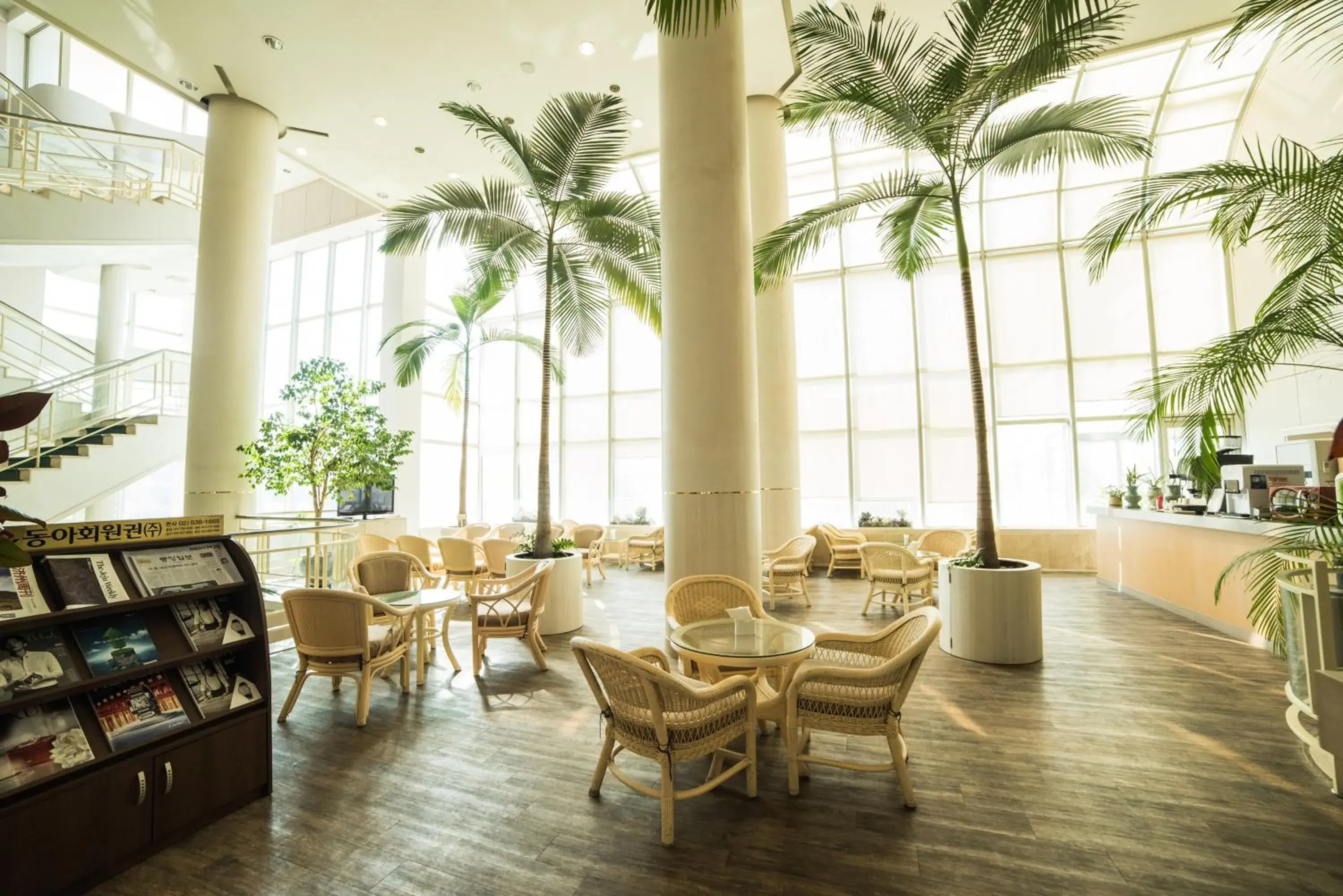 Lounge or bar in Bloom Hotel Lounge or bar in Bloom Hotel