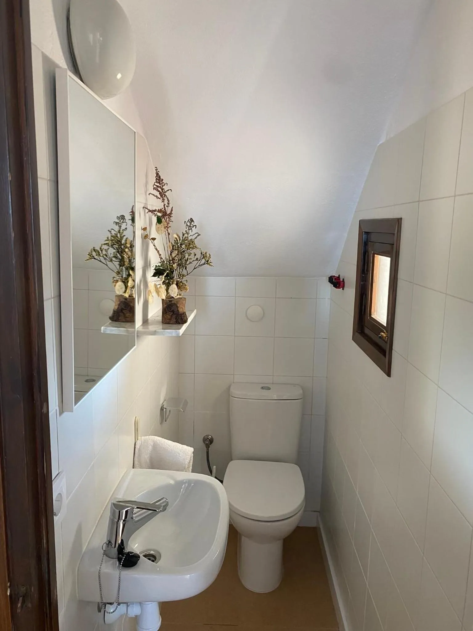 Toilet in Apartamentos Sa Cornisa