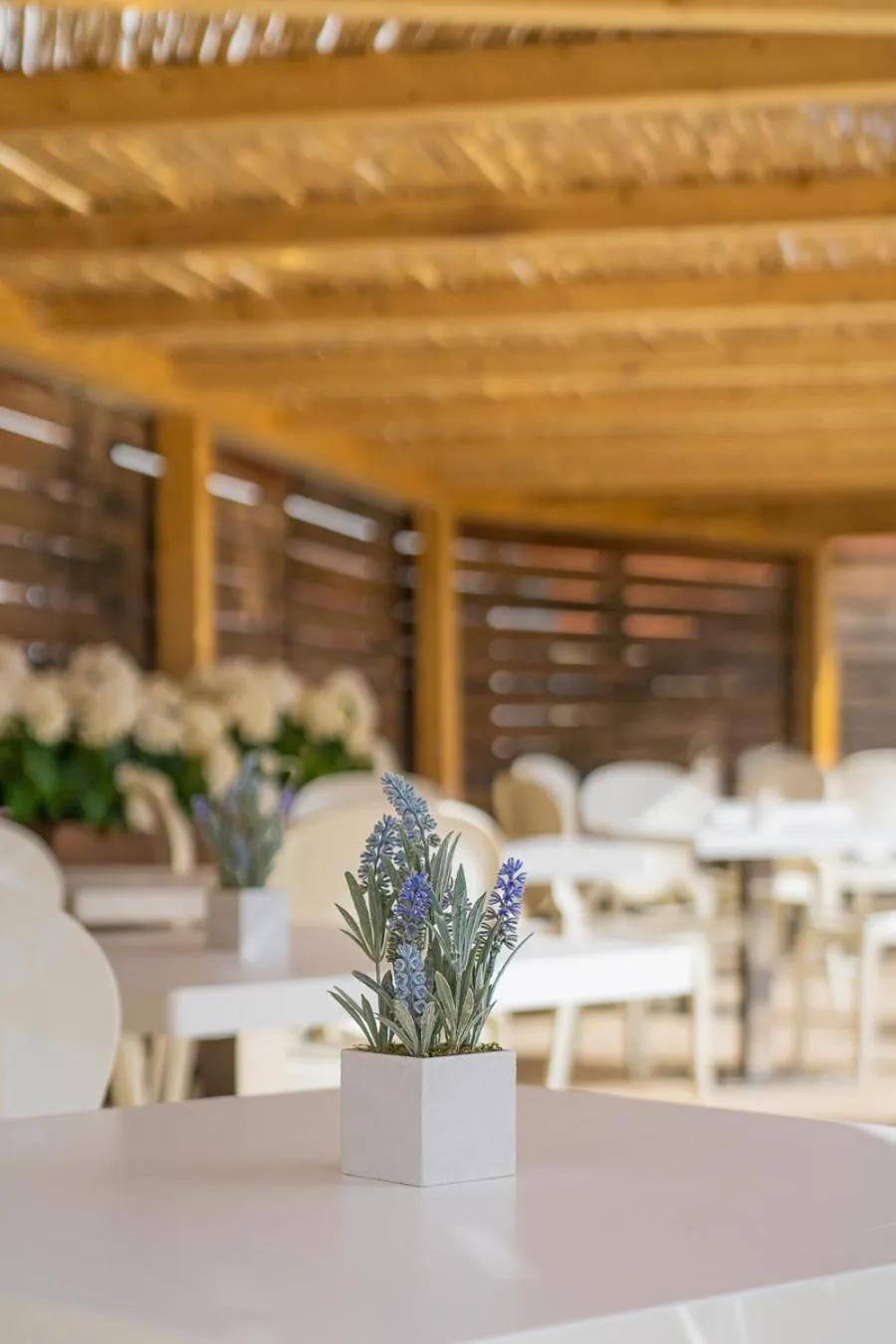 Restaurant/places to eat in Mercure Olbia