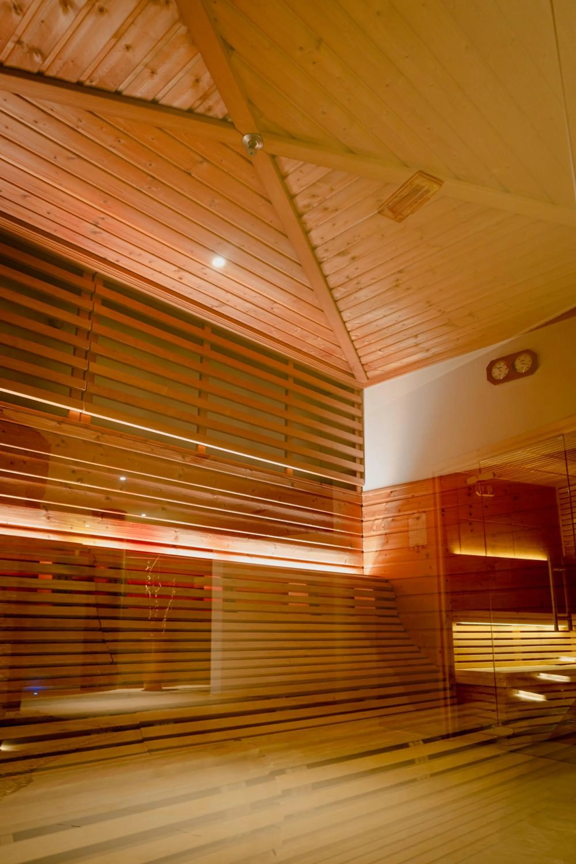 Sauna in Mercure Olbia