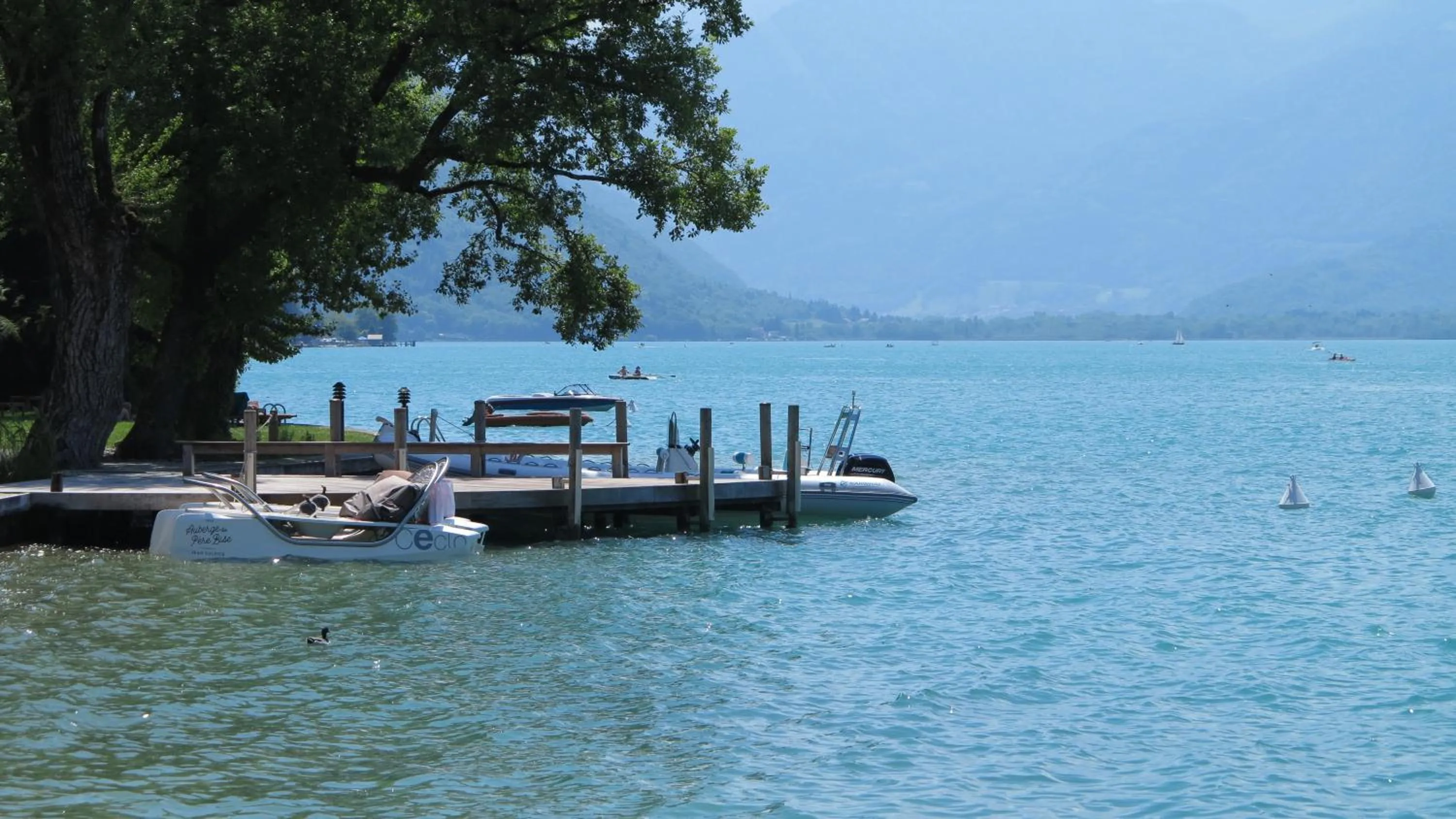 Spring in Auberge Du Père Bise - Jean Sulpice