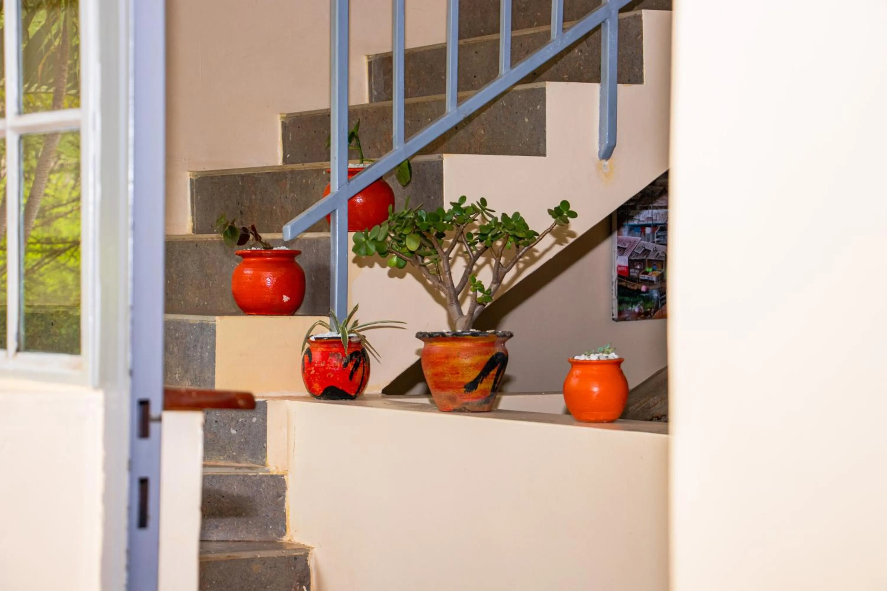 Property building in Acacia Tree Lodge