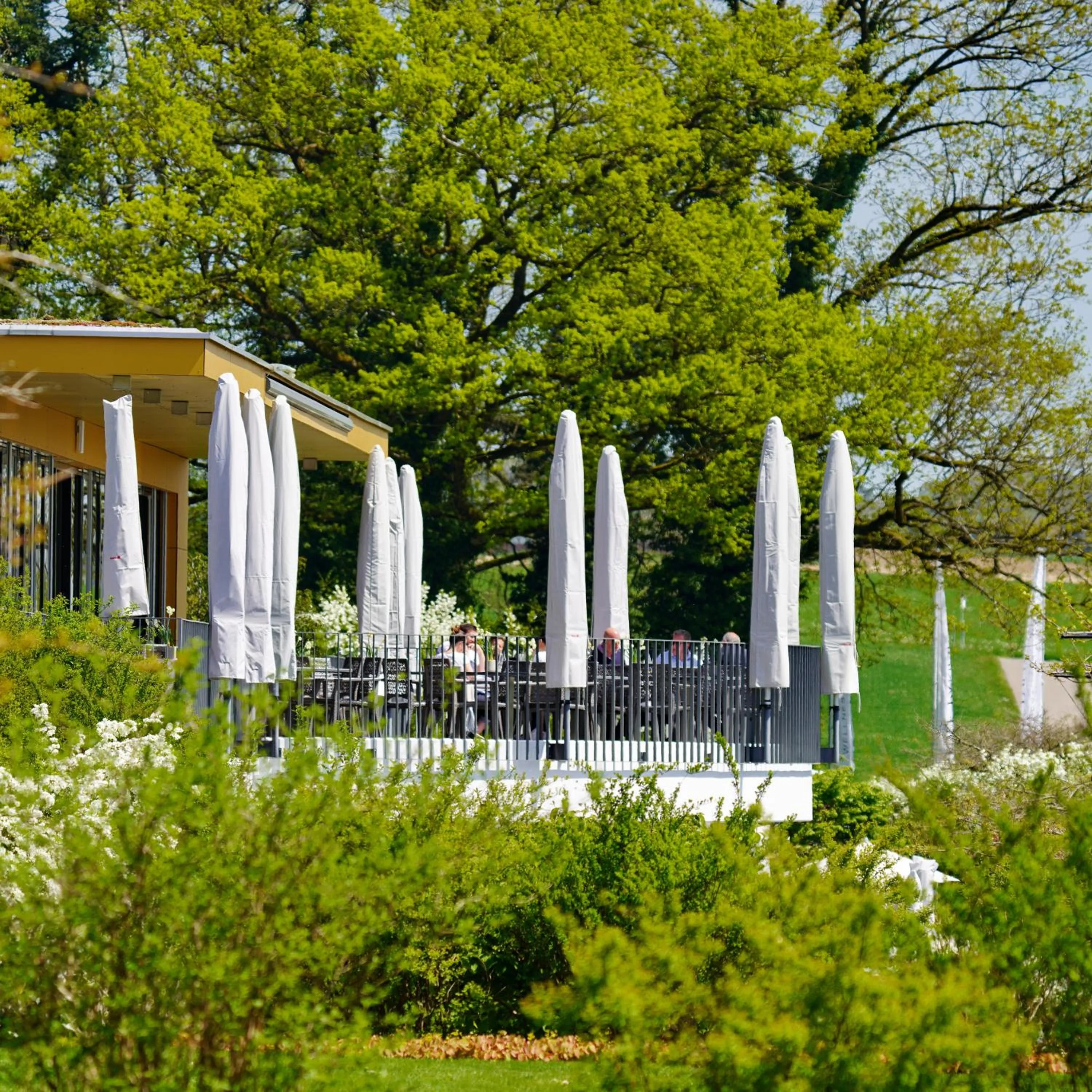 Restaurant/places to eat in Wellnesshotel Golfpanorama