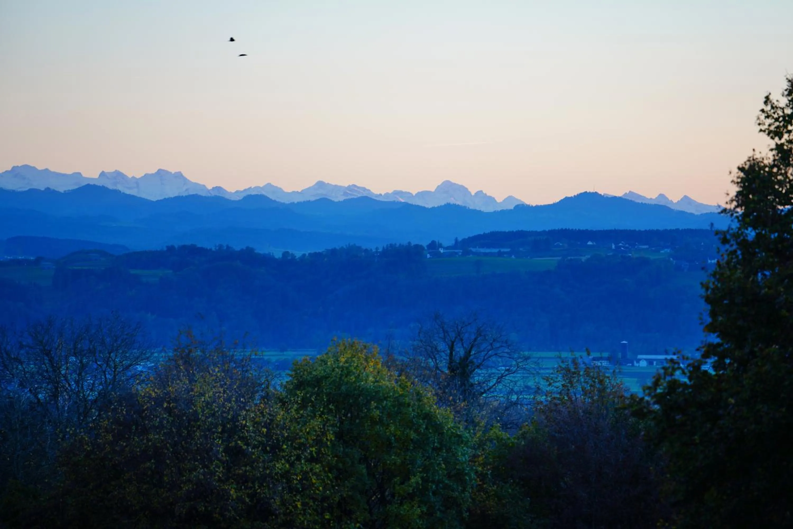 View (from property/room) in Wellnesshotel Golfpanorama