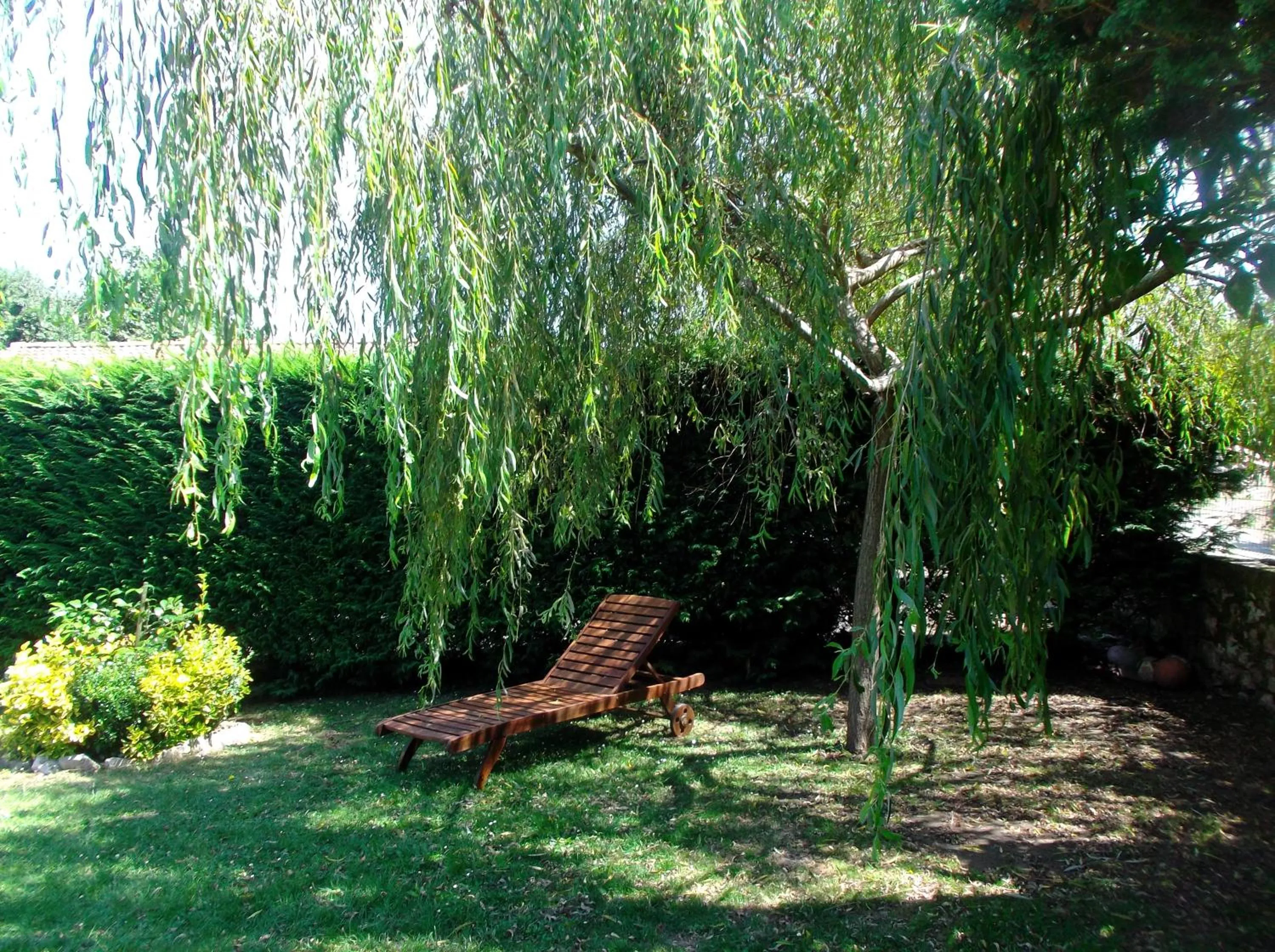 Garden in Villalen