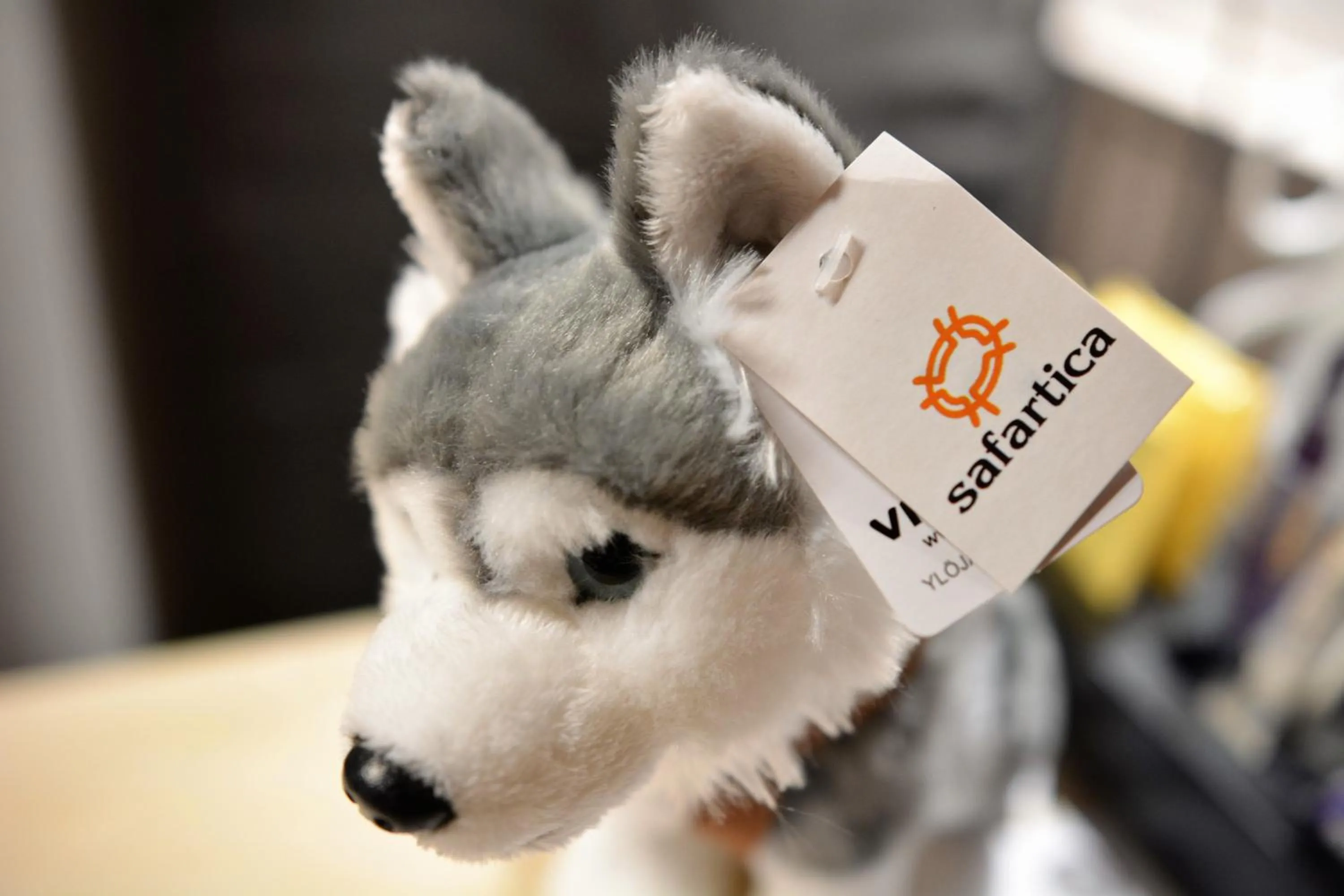 Decorative detail in Hotel Ylläsrinne