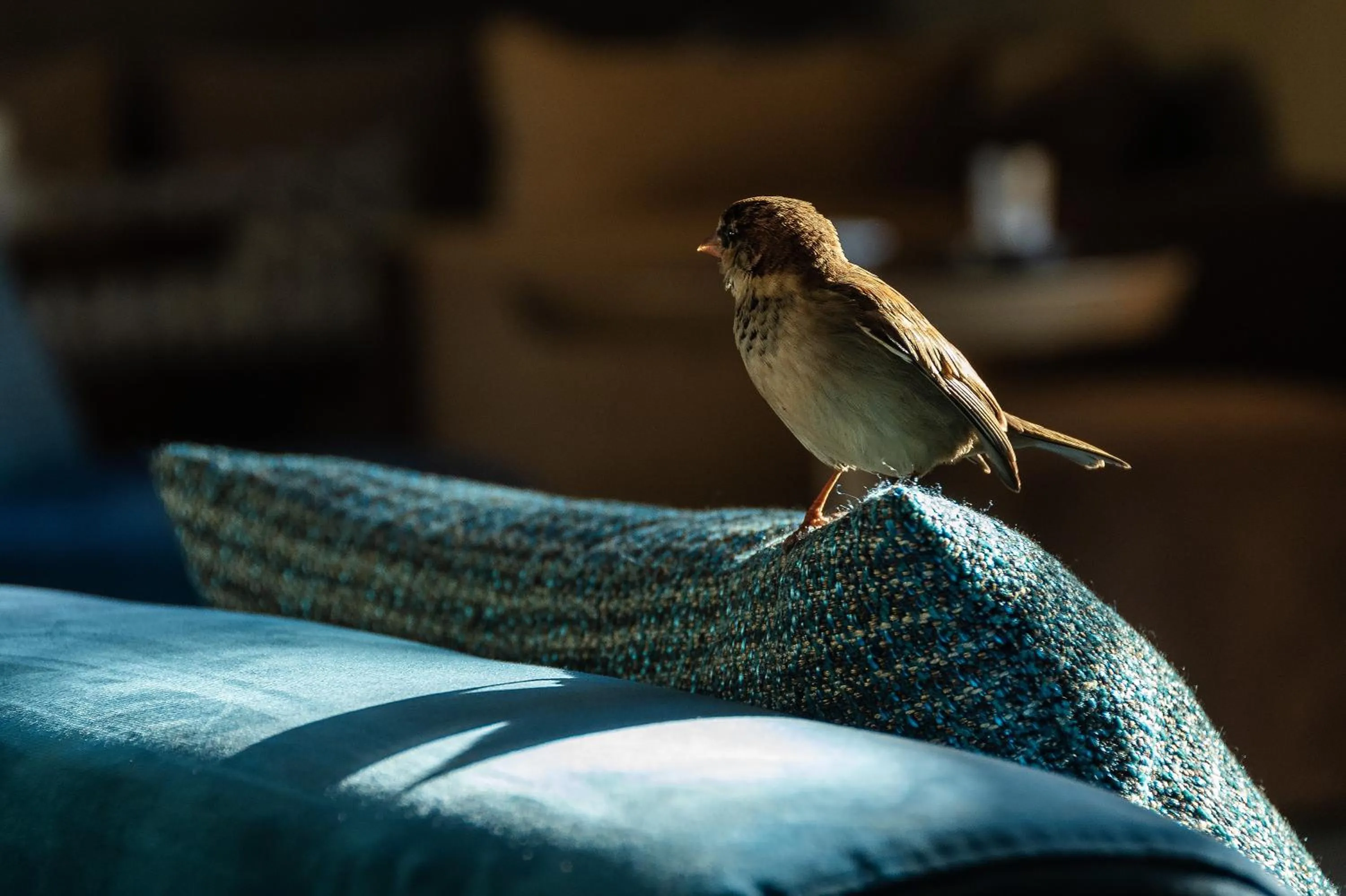 Other in Sirayane Boutique Hotel & Spa Marrakech