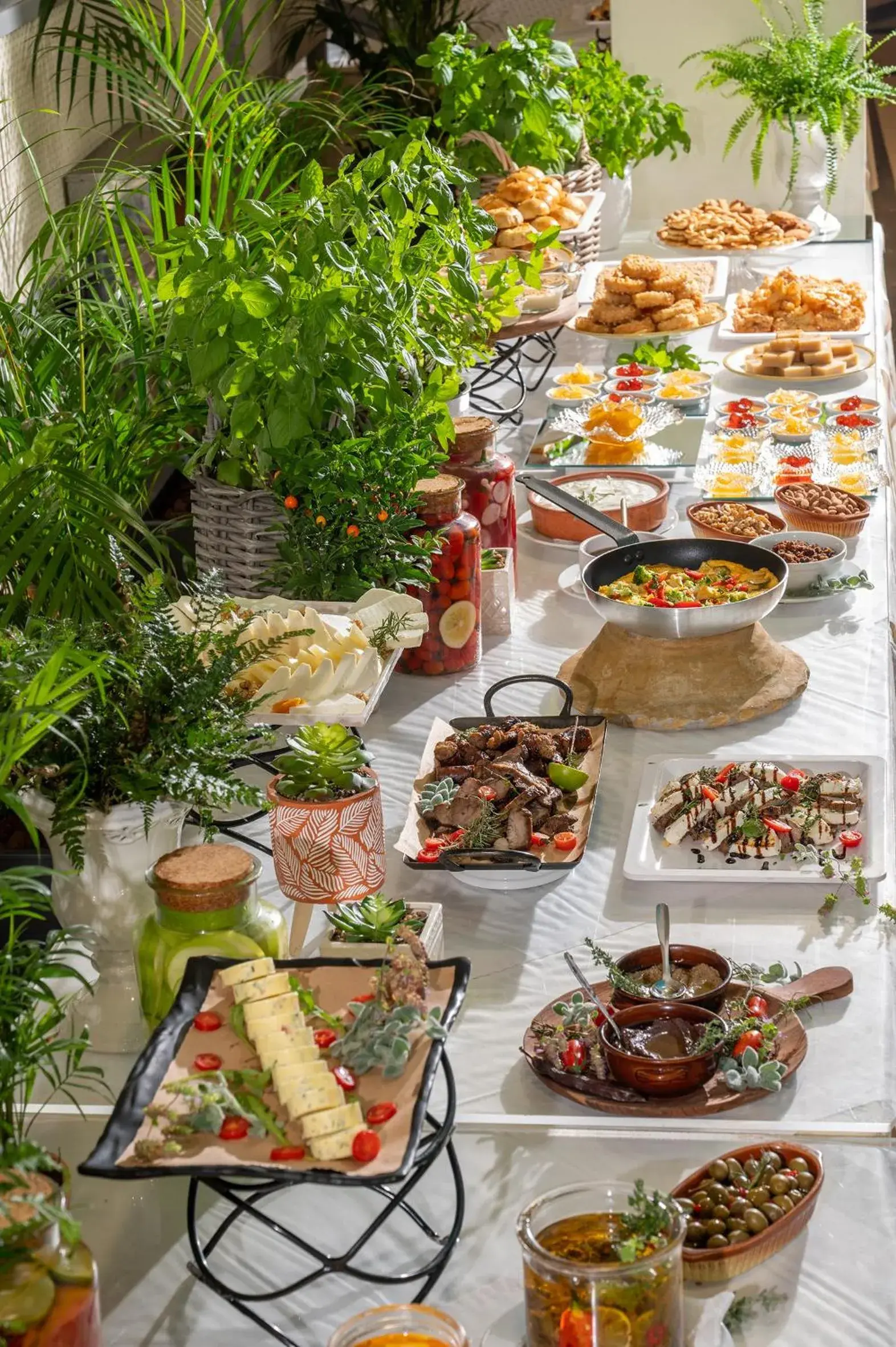 Restaurant/places to eat in Royal & Imperial Belvedere Resort Restaurant/places to eat in Royal & Imperial Belvedere Resort