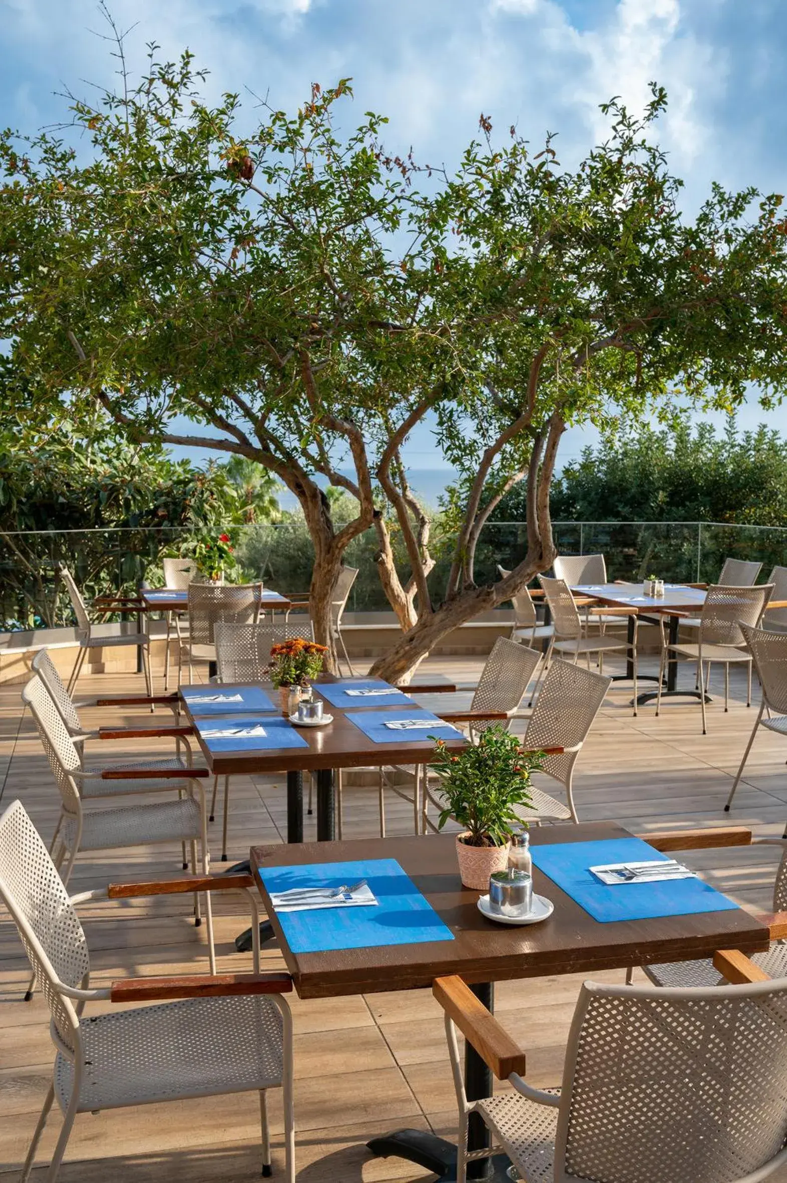 Restaurant/places to eat in Royal & Imperial Belvedere Resort Restaurant/places to eat in Royal & Imperial Belvedere Resort