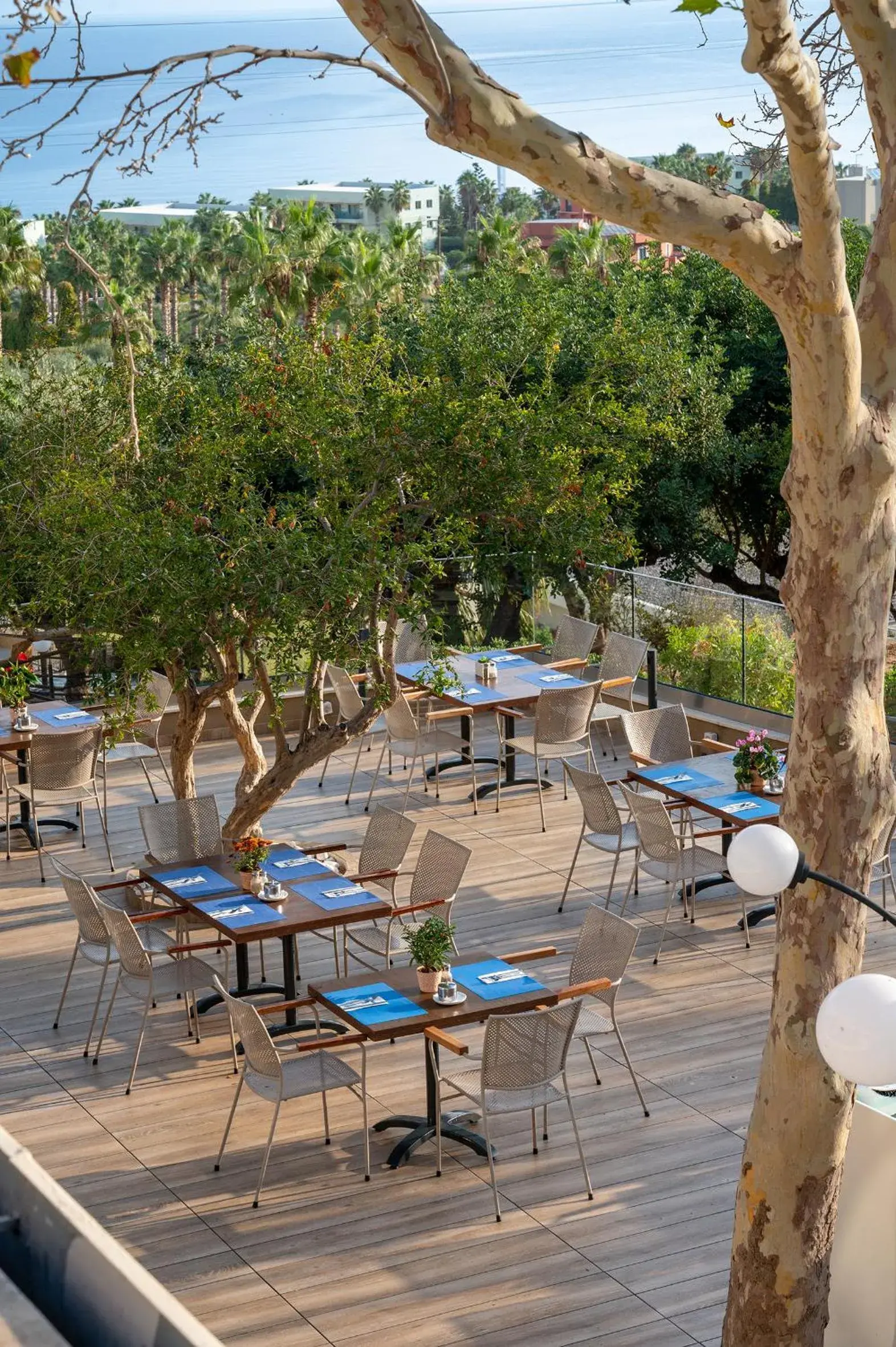 Restaurant/places to eat in Royal & Imperial Belvedere Resort Restaurant/places to eat in Royal & Imperial Belvedere Resort