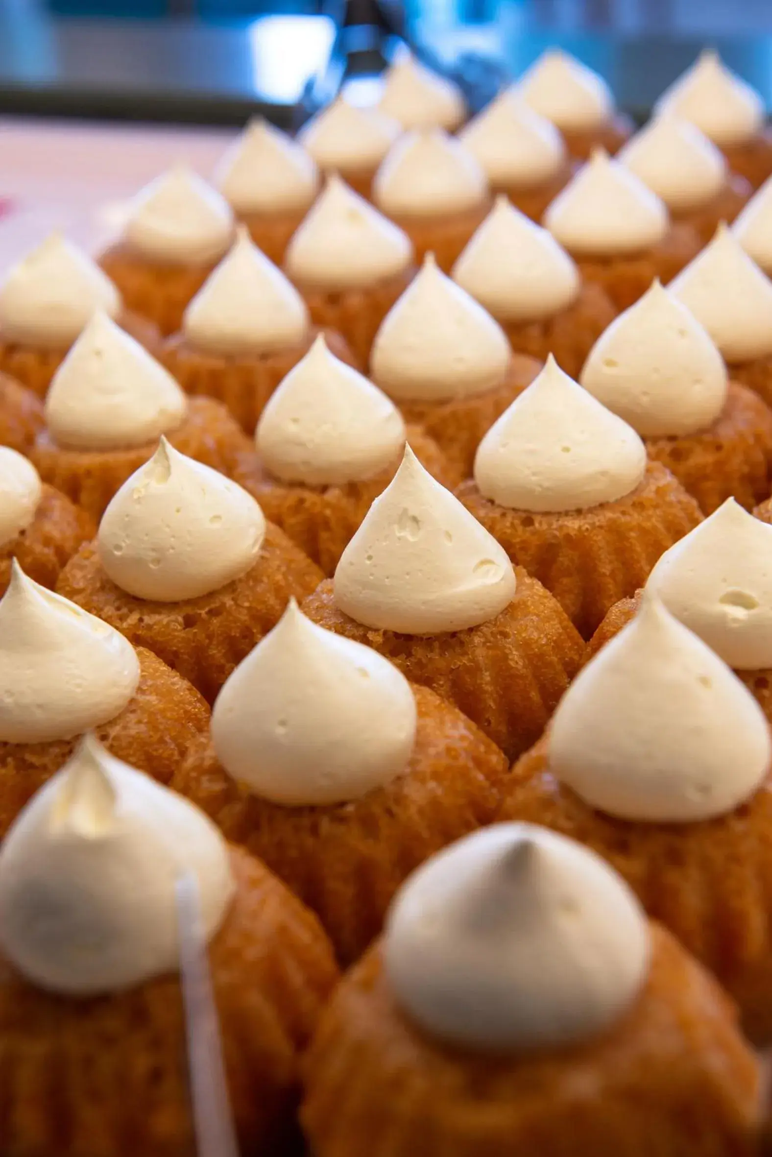 Restaurant/places to eat in Royal & Imperial Belvedere Resort Restaurant/places to eat in Royal & Imperial Belvedere Resort