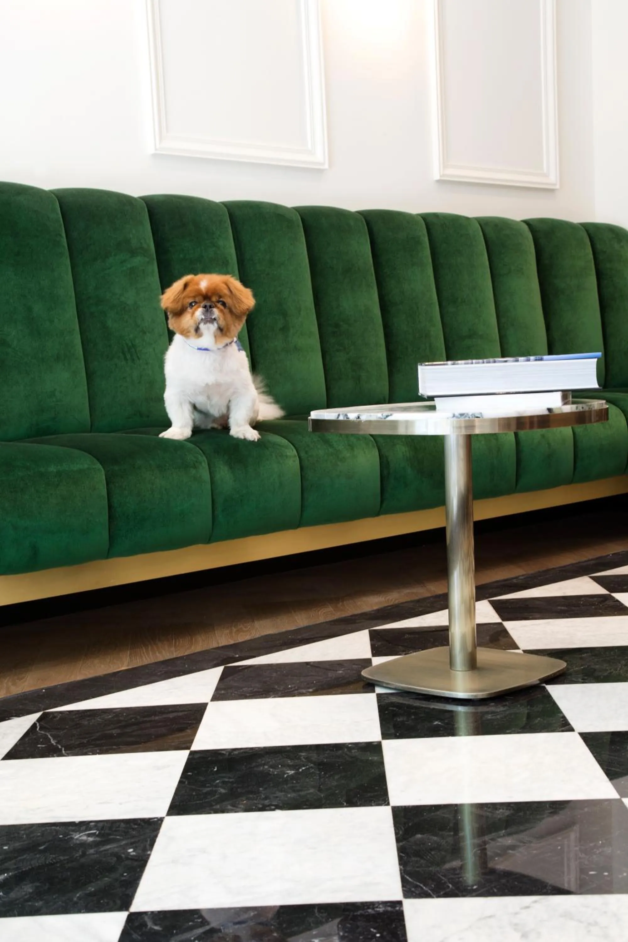 Pets in Hôtel Léna