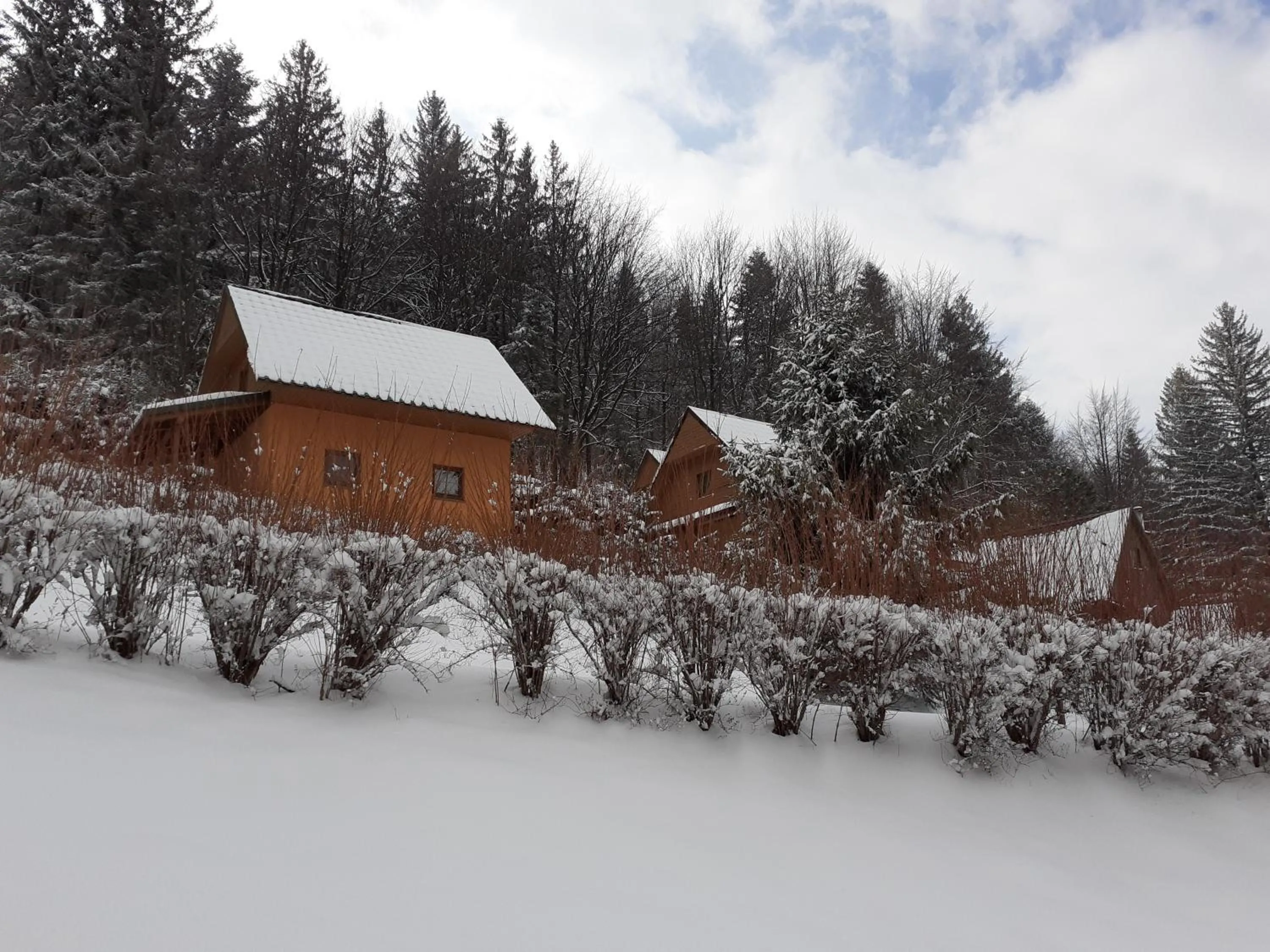 Natural landscape in Chaty pod Knížecí, Trojanovice