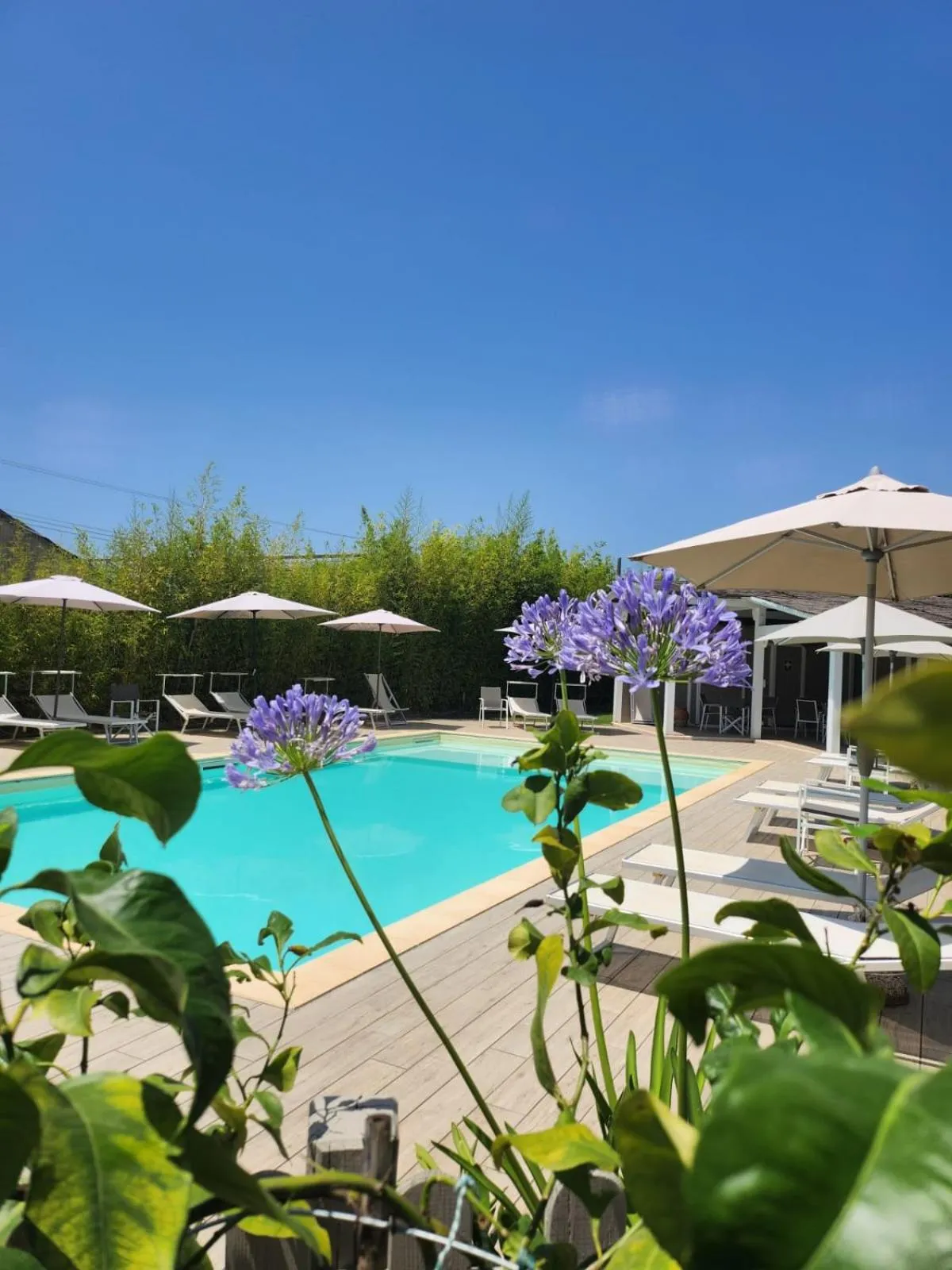 Swimming pool in Il Tremarino