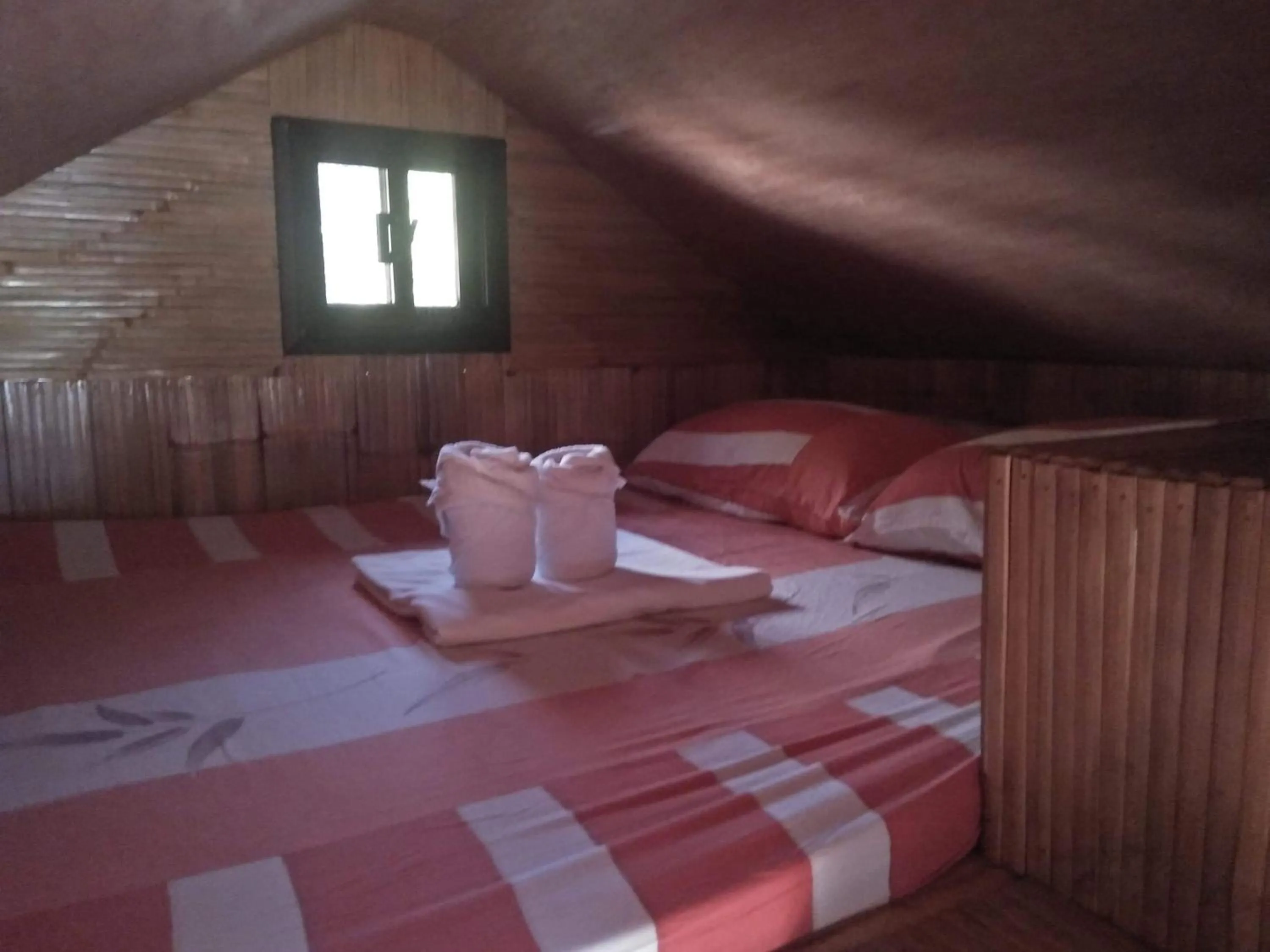 One-Bedroom House in Seabreeze Beachfront Home and Cottages new management