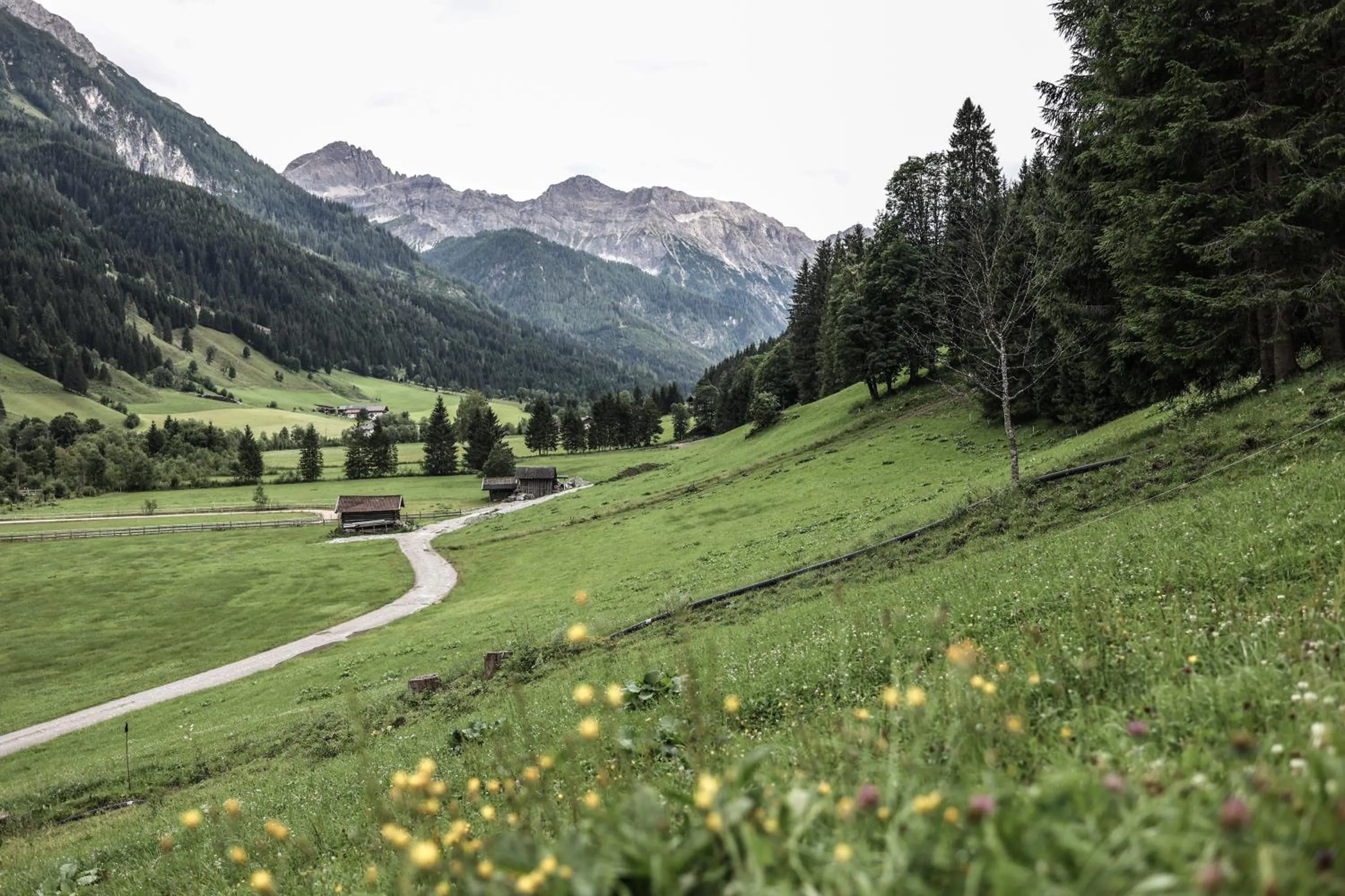 Staff in Familien- und Wellnesshotel Hanneshof