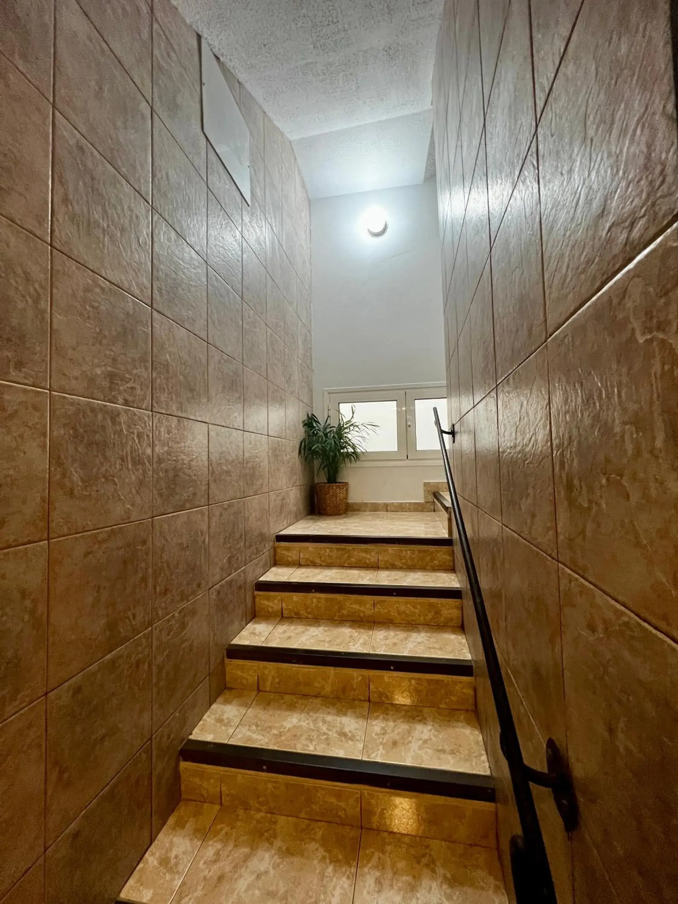 Area and facilities in Hostal Residencia Cardona Area and facilities in Hostal Residencia Cardona