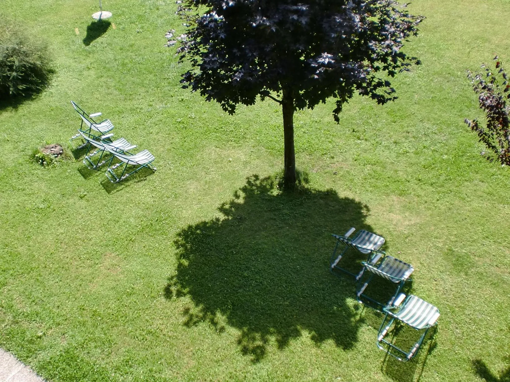 Garden view in first mountain Hotel Zillertal