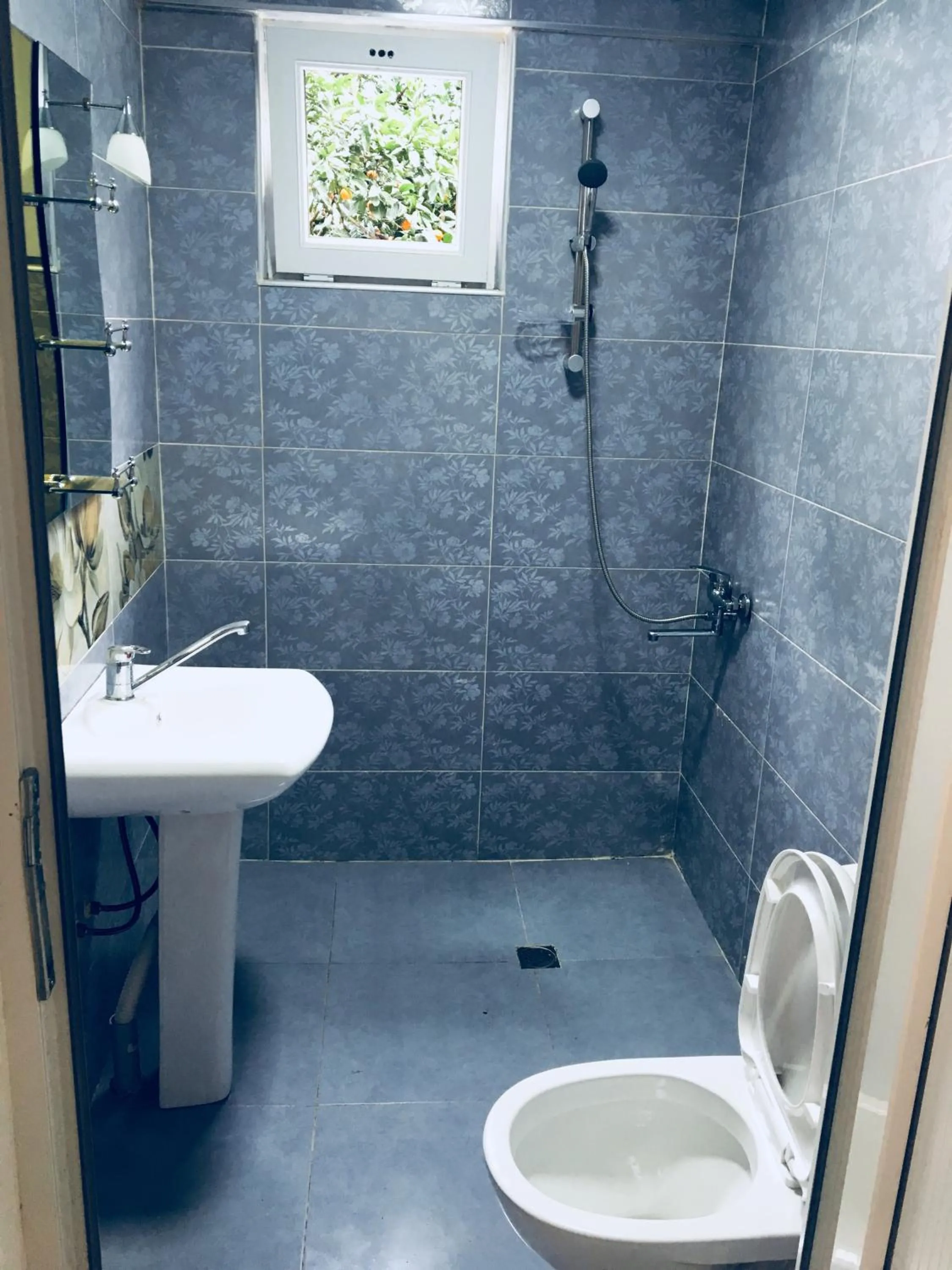 Toilet in Marina kvariati