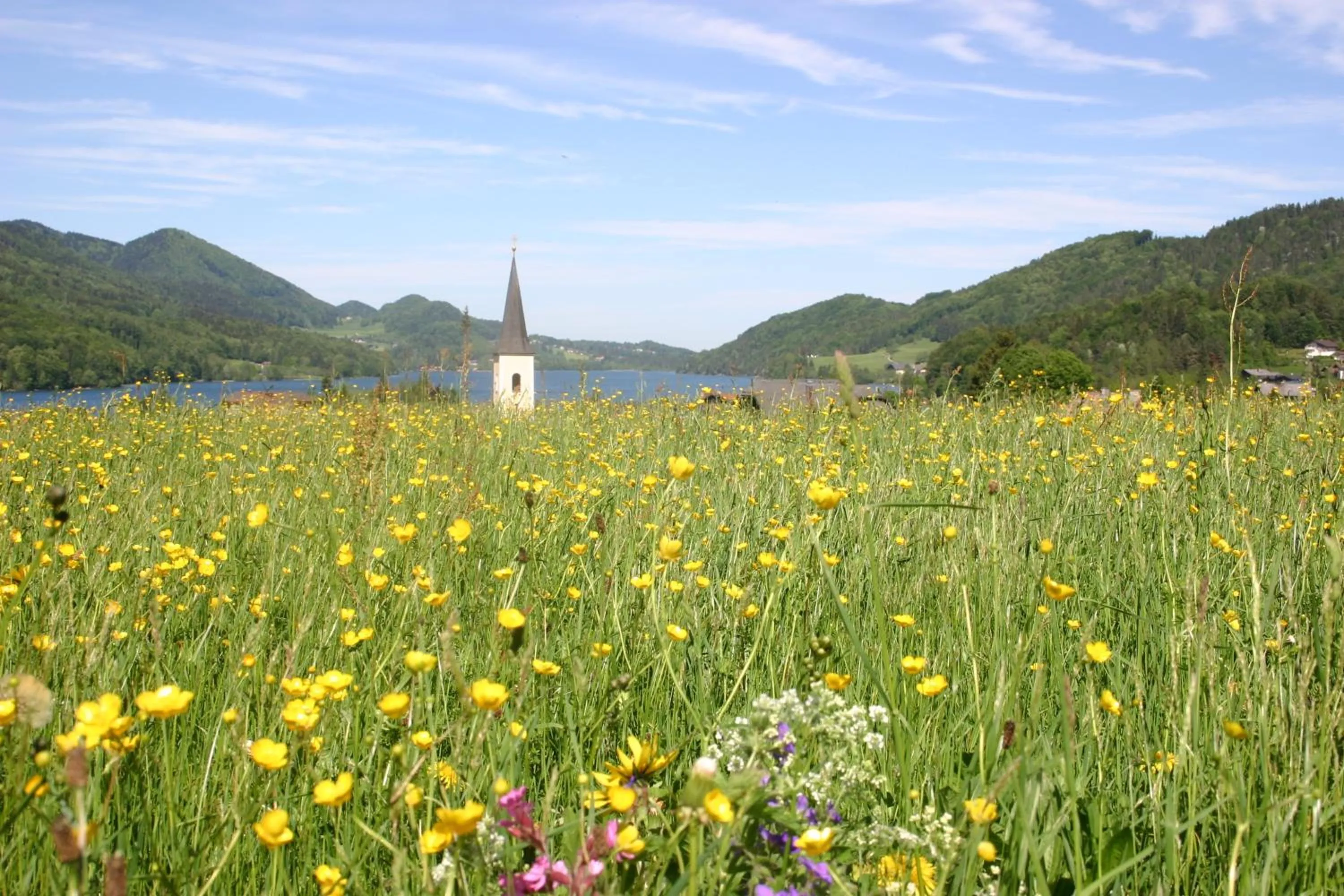 Area and facilities in Vogl's Nest