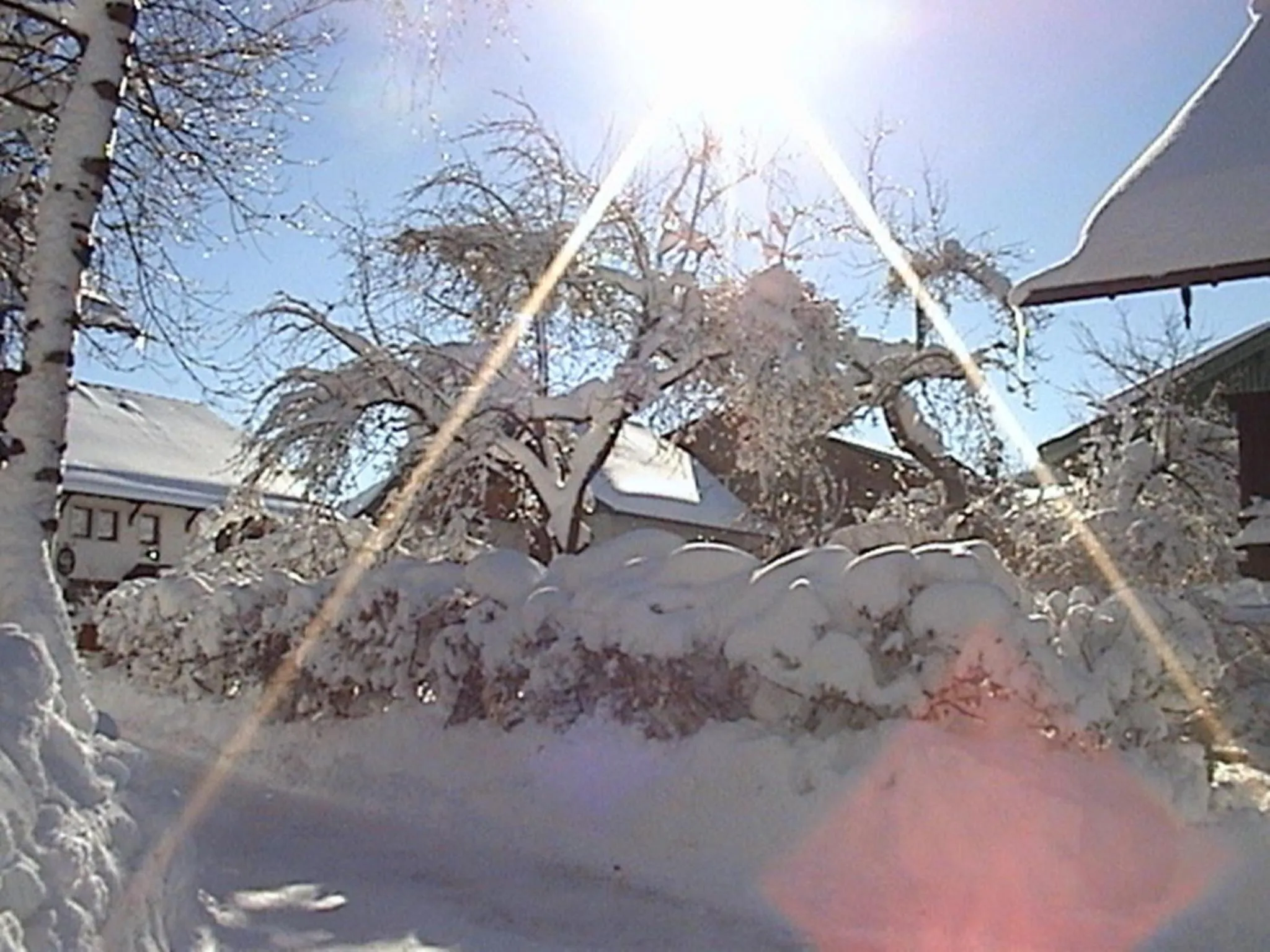 Area and facilities in Vogl's Nest