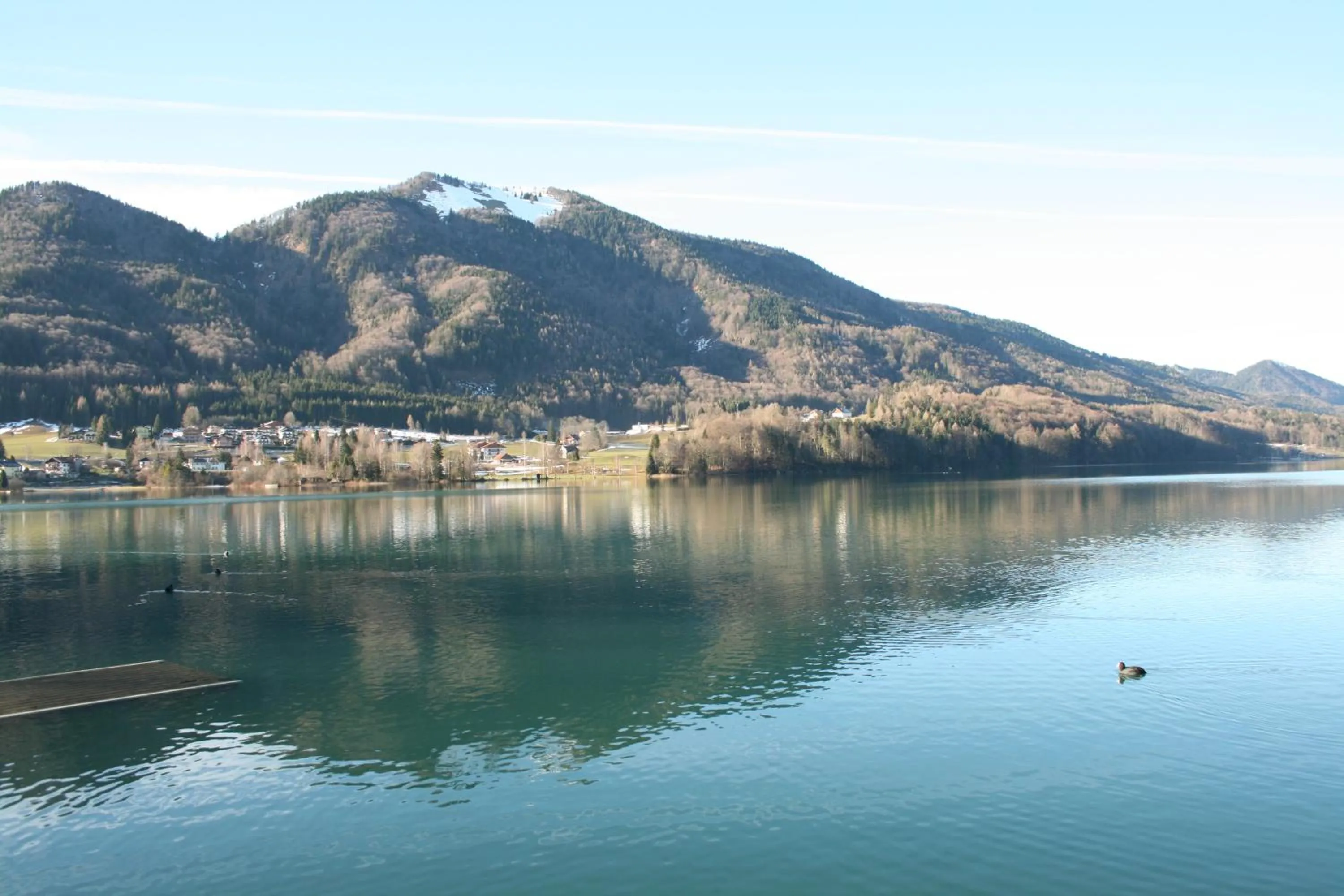 View (from property/room) in Vogl's Nest