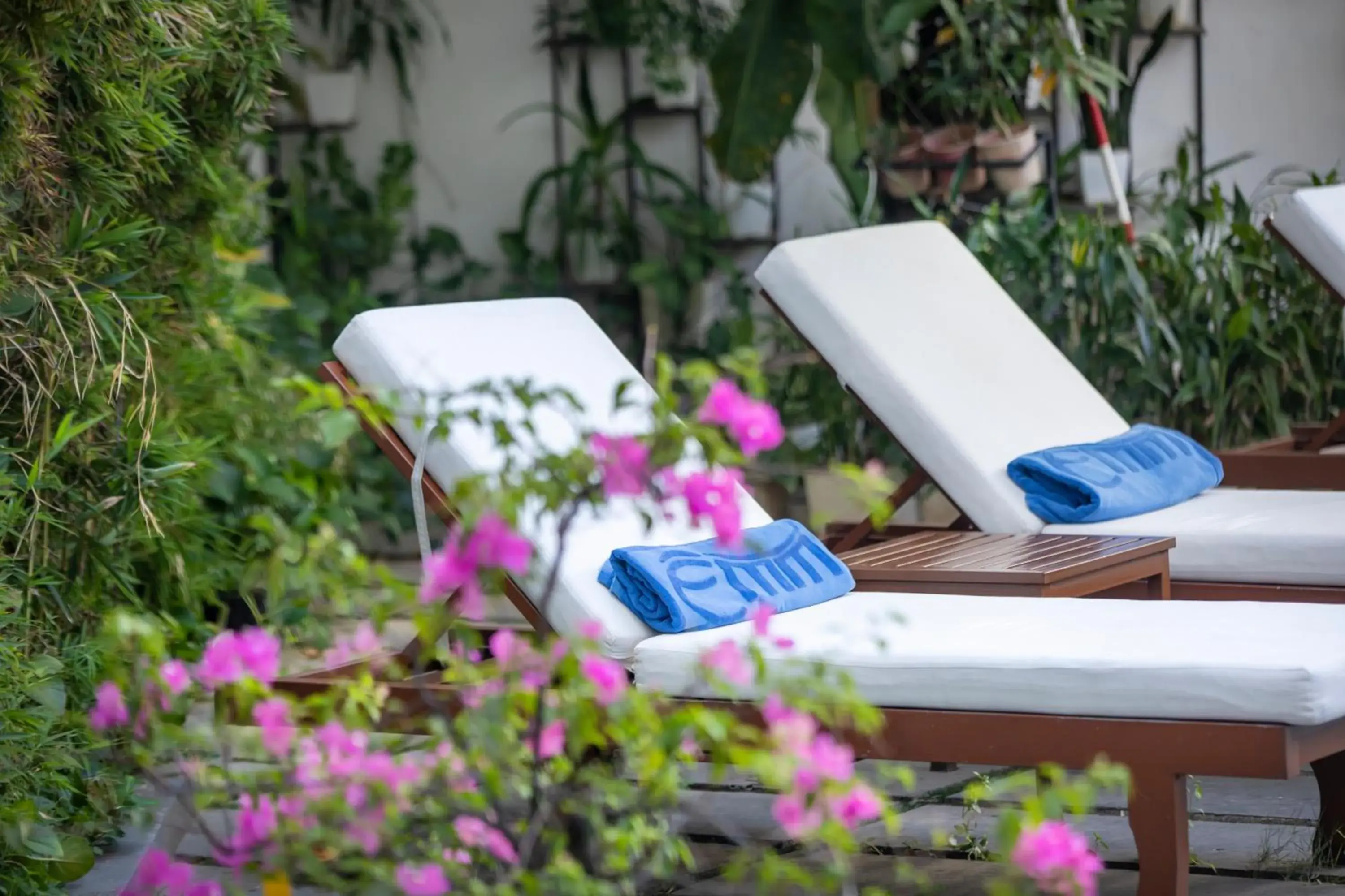 sunbed in ÊMM Hotel Hue sunbed in ÊMM Hotel Hue