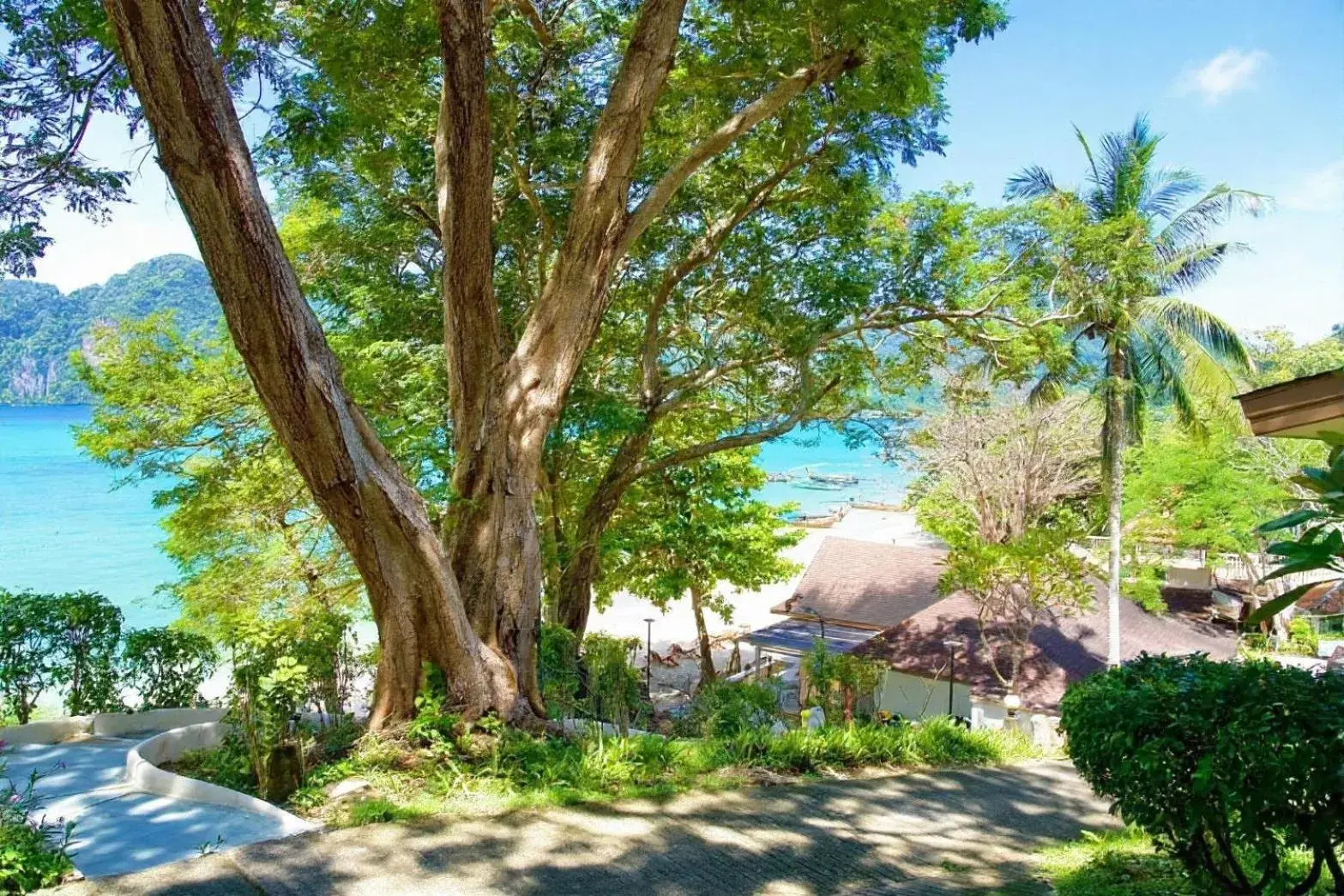 View (from property/room) in Bayview Resort Phi Phi Island - Beach Front Resort View (from property/room) in Bayview Resort Phi Phi Island - Beach Front Resort