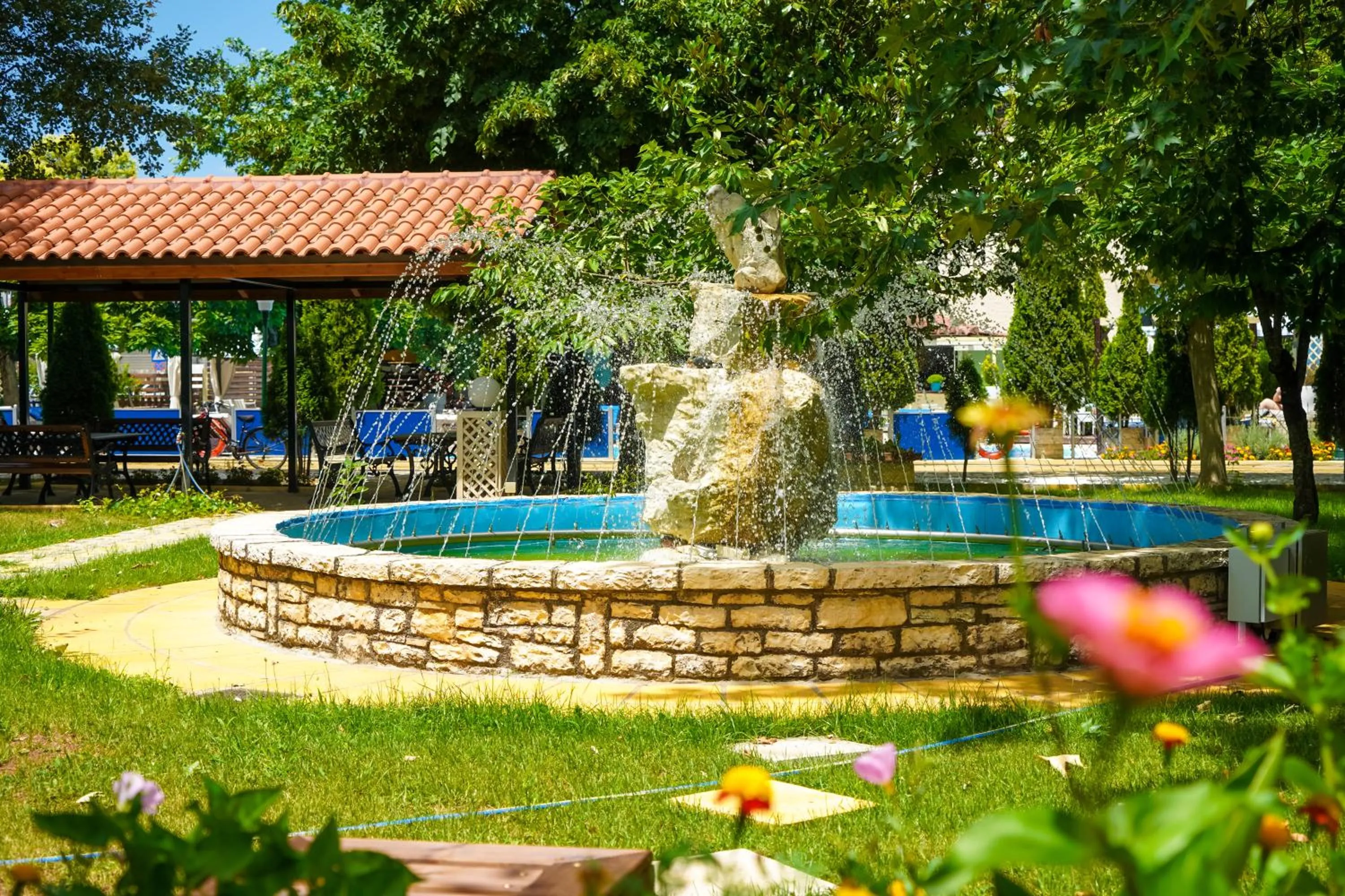 Garden in Krikonis Hotel