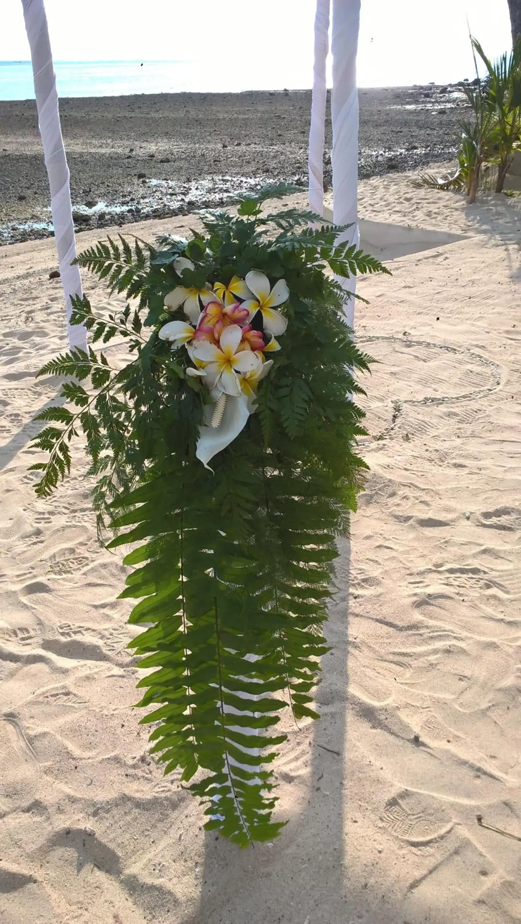 Guests in Mango Bay Resort Guests in Mango Bay Resort