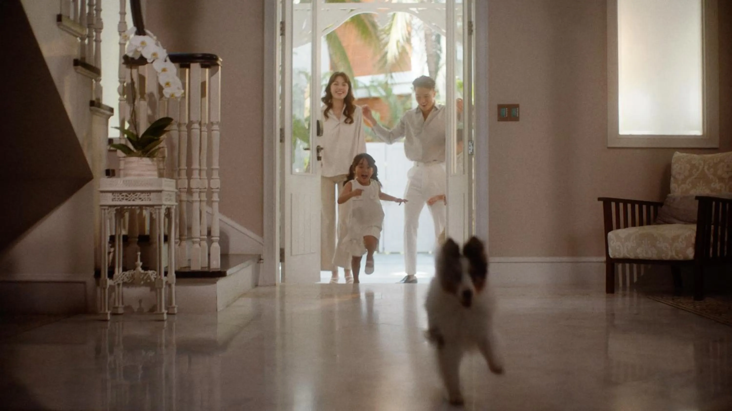 Pets in InterContinental Hua Hin Resort by IHG