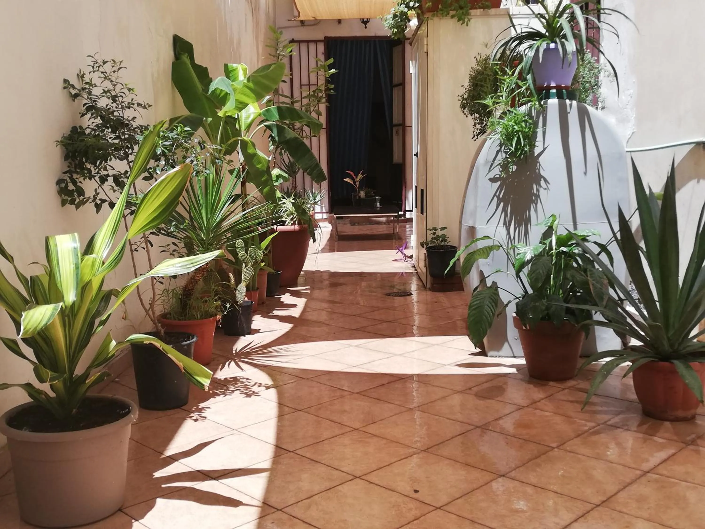 Guglielmo room's B&B