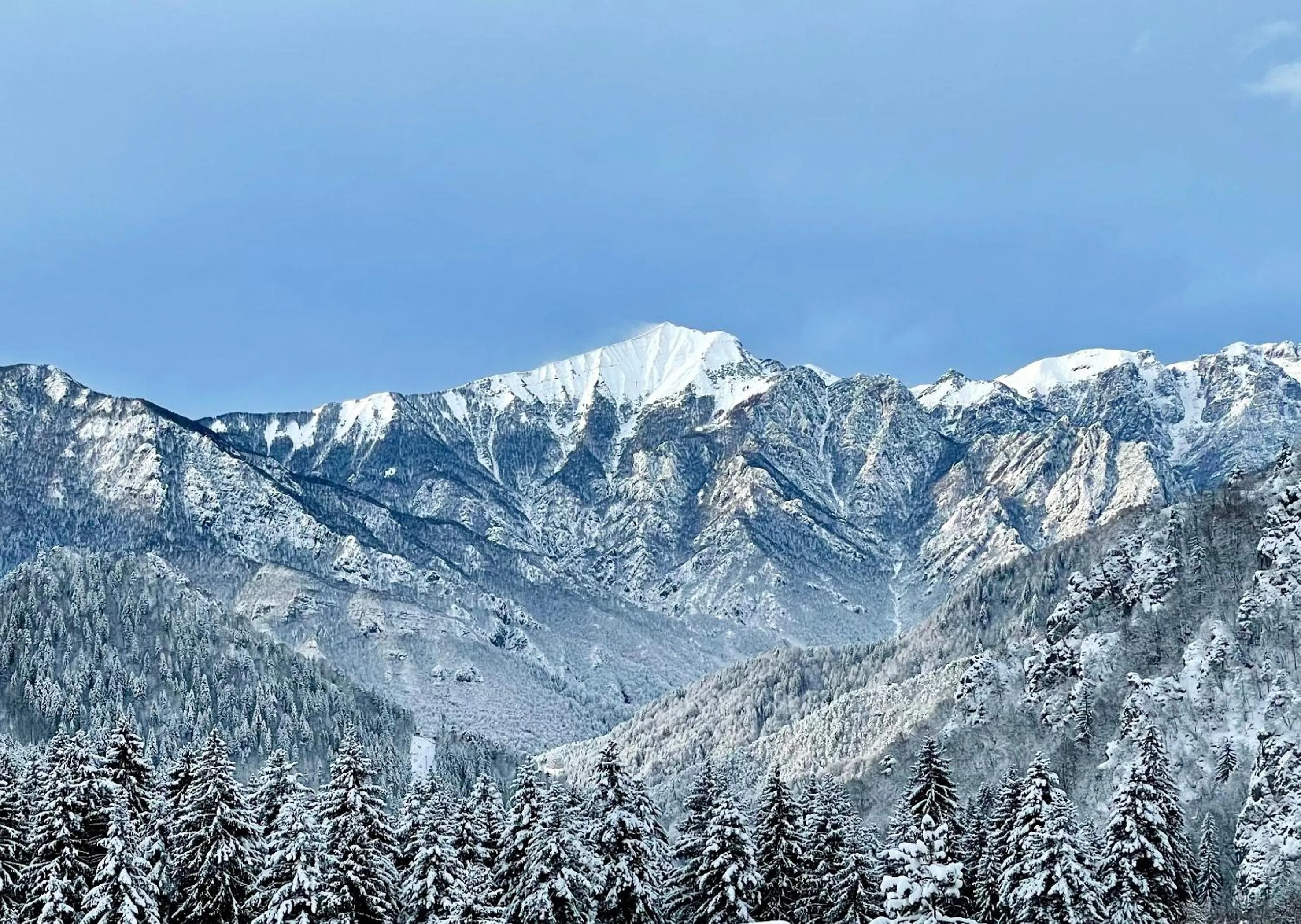 Natural landscape in Hotel Milano