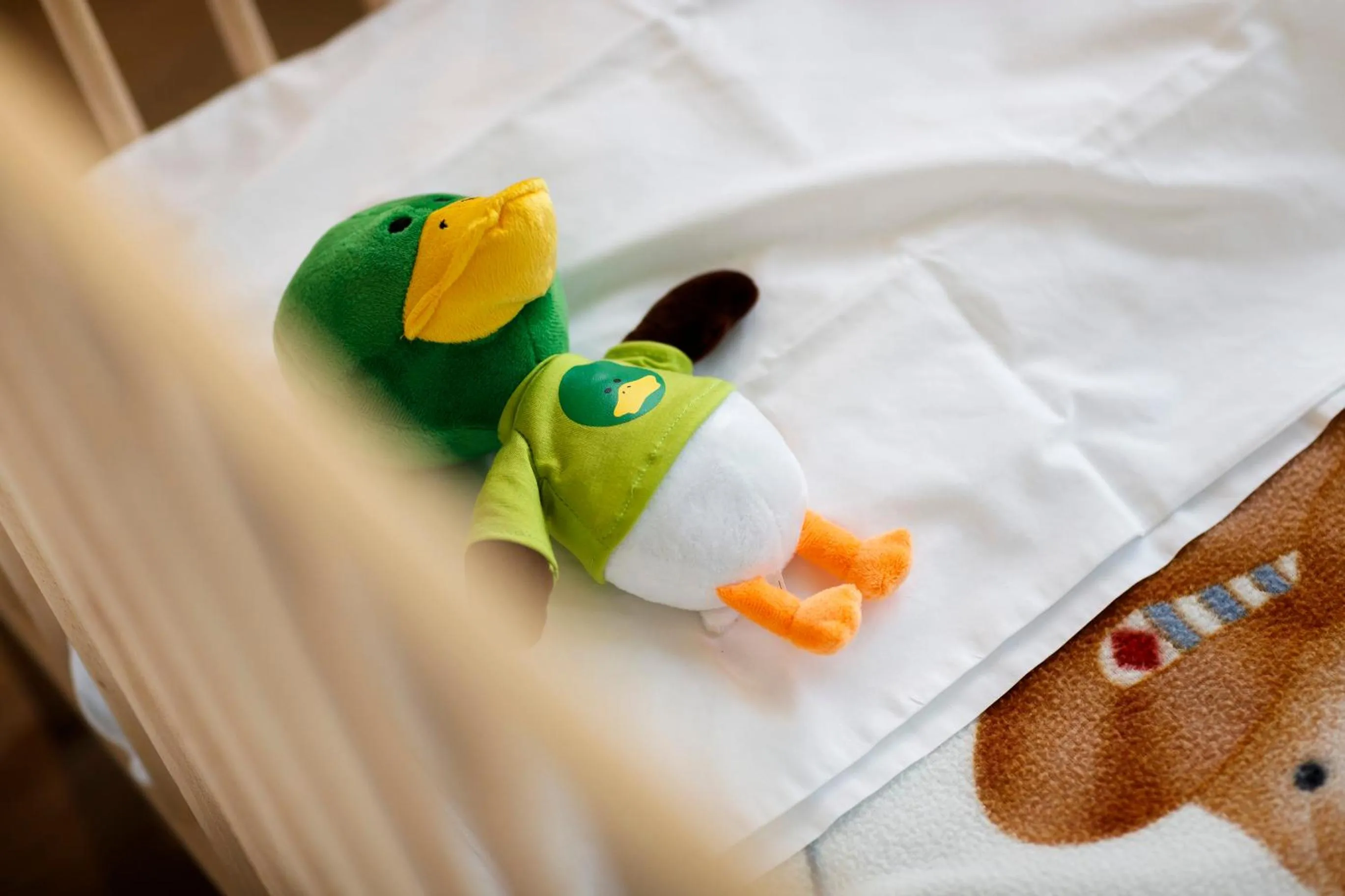 Other, Bed in Du Lac Et Du Parc Grand Resort